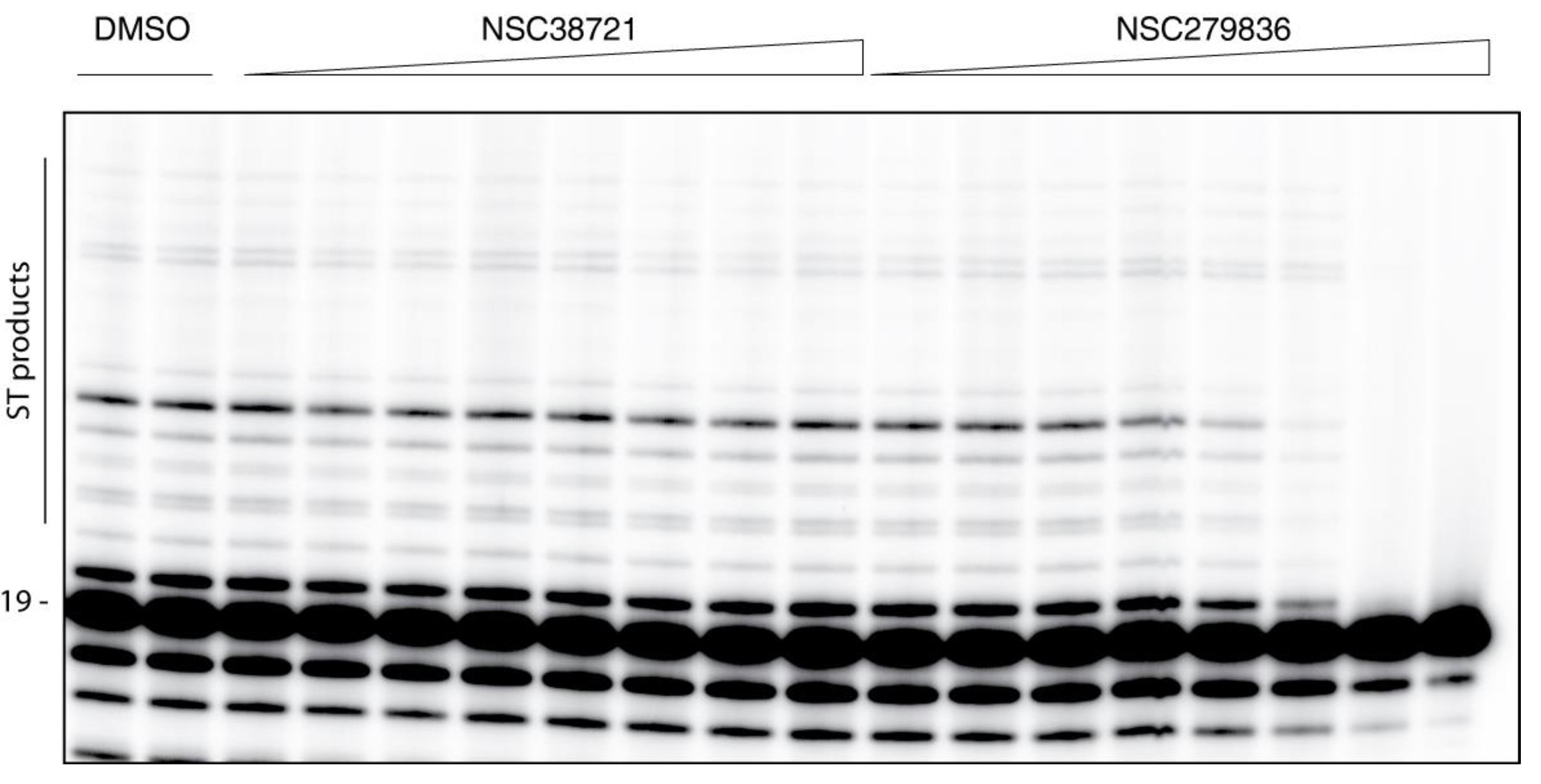 Molecules 26 05423 g005