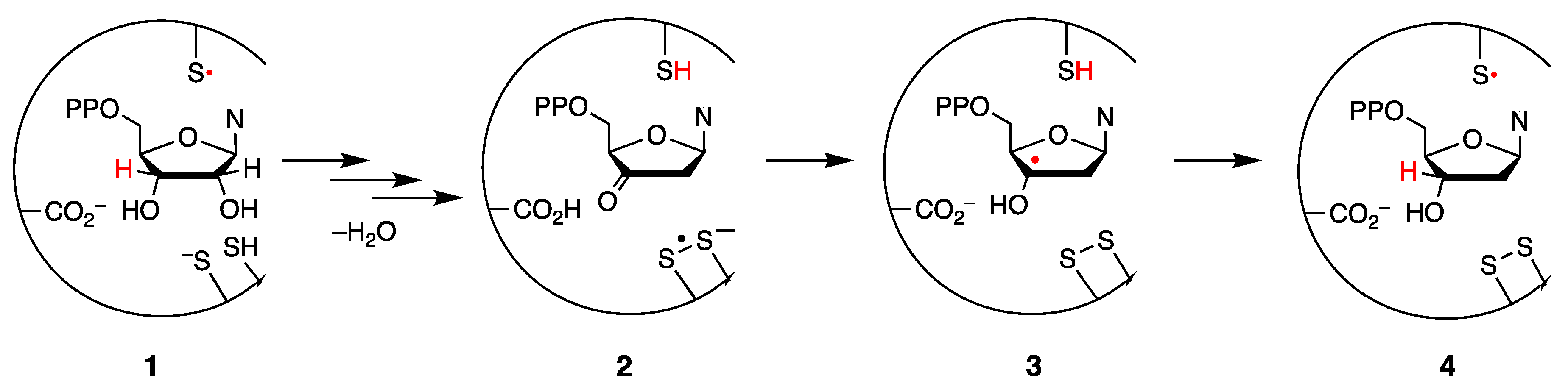 Molecules 26 05429 g001