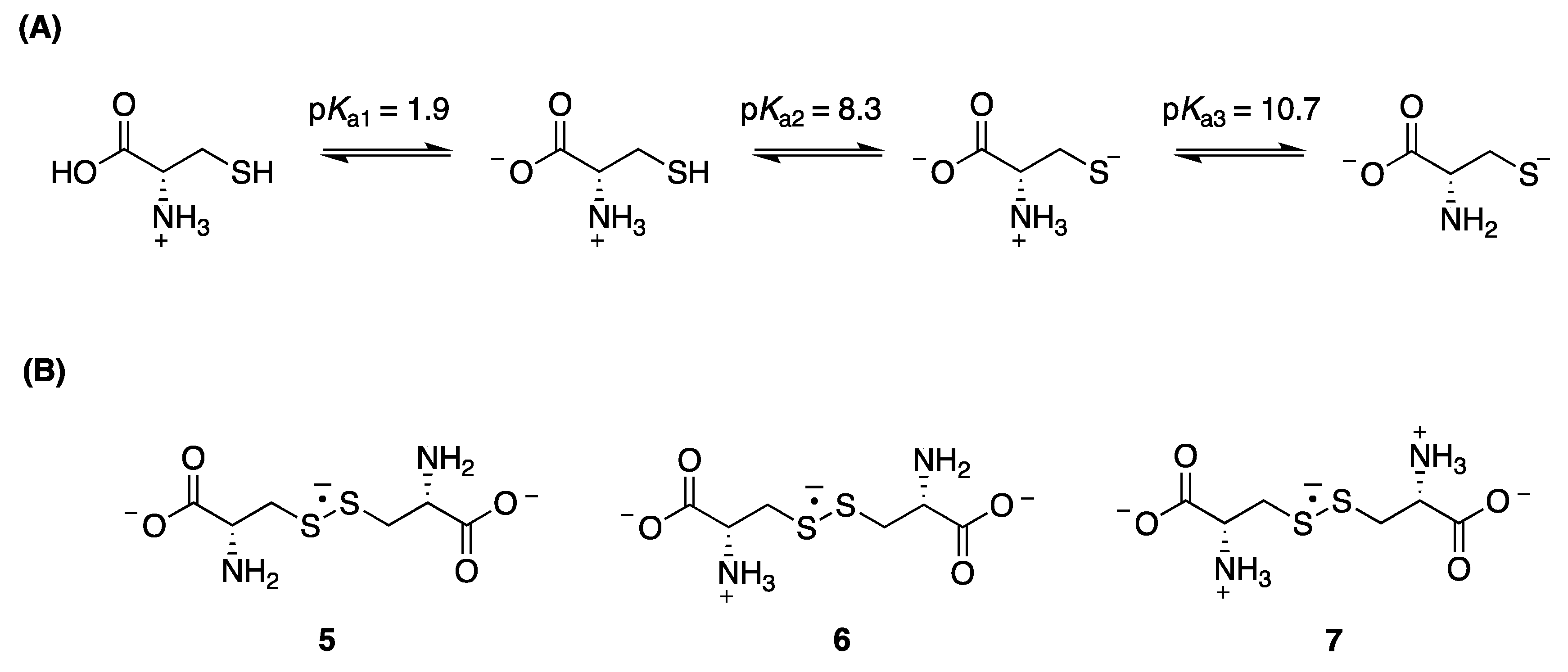 Molecules 26 05429 g002