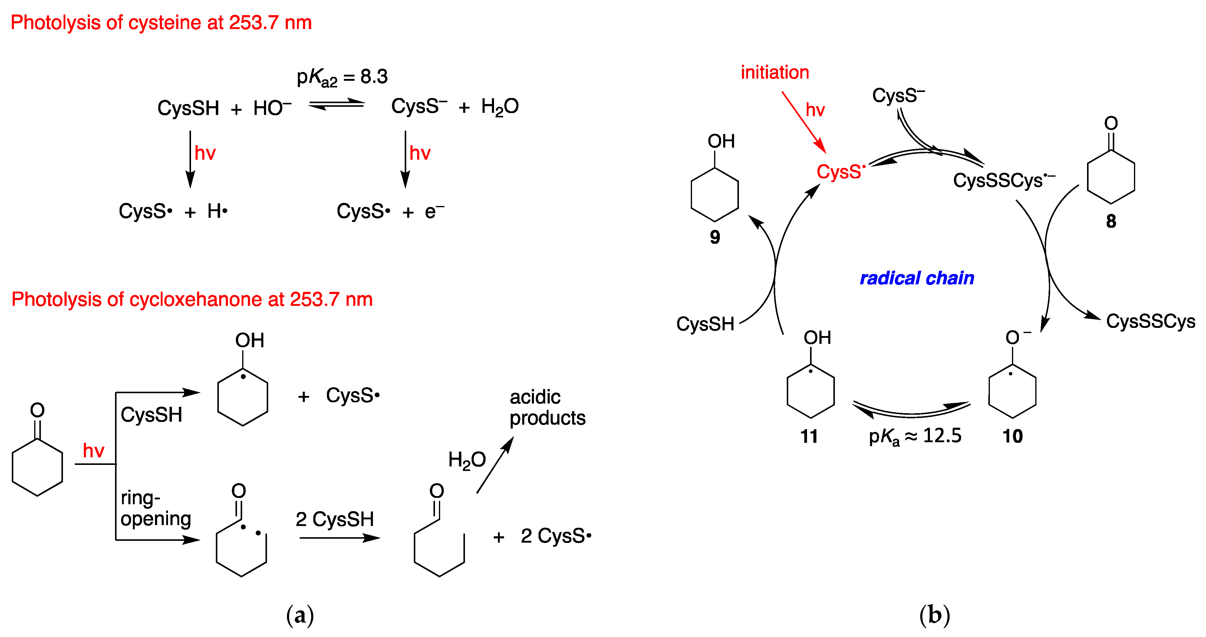 Molecules 26 05429 g003