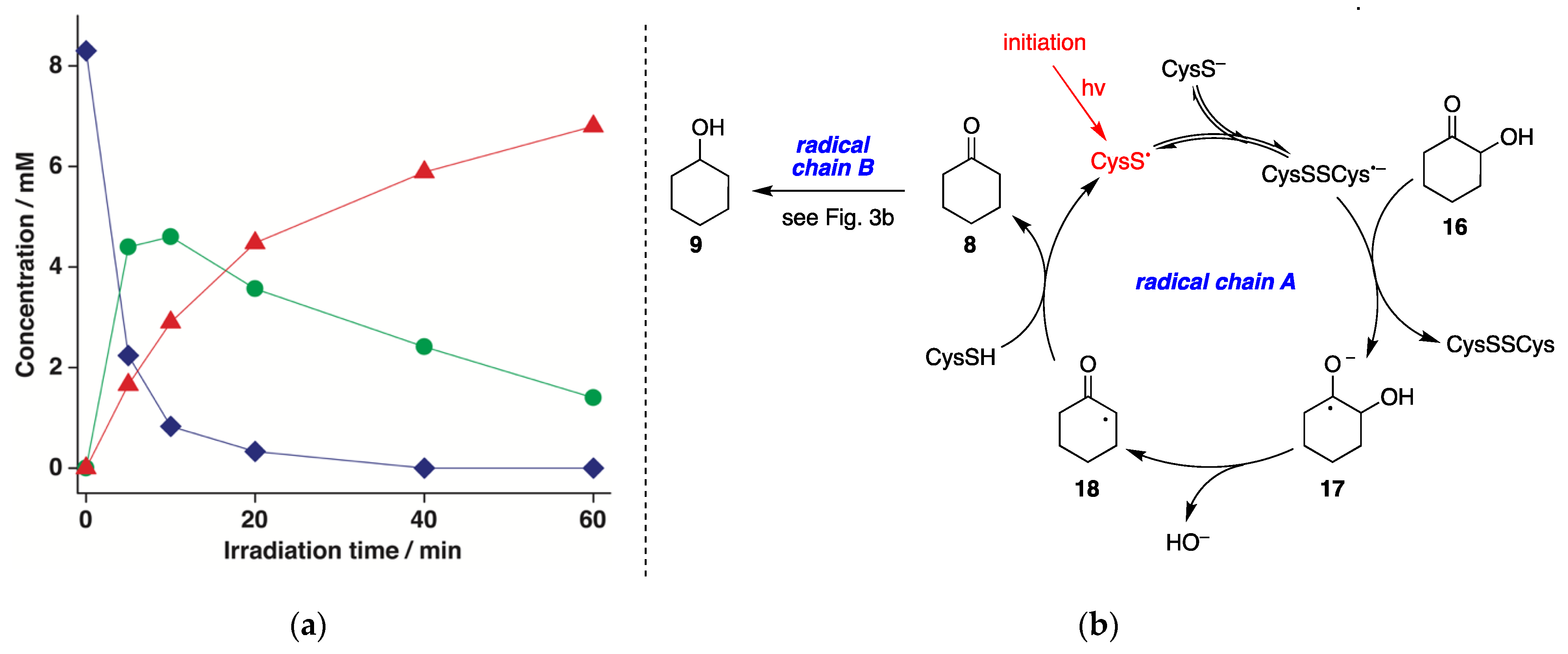 Molecules 26 05429 g005