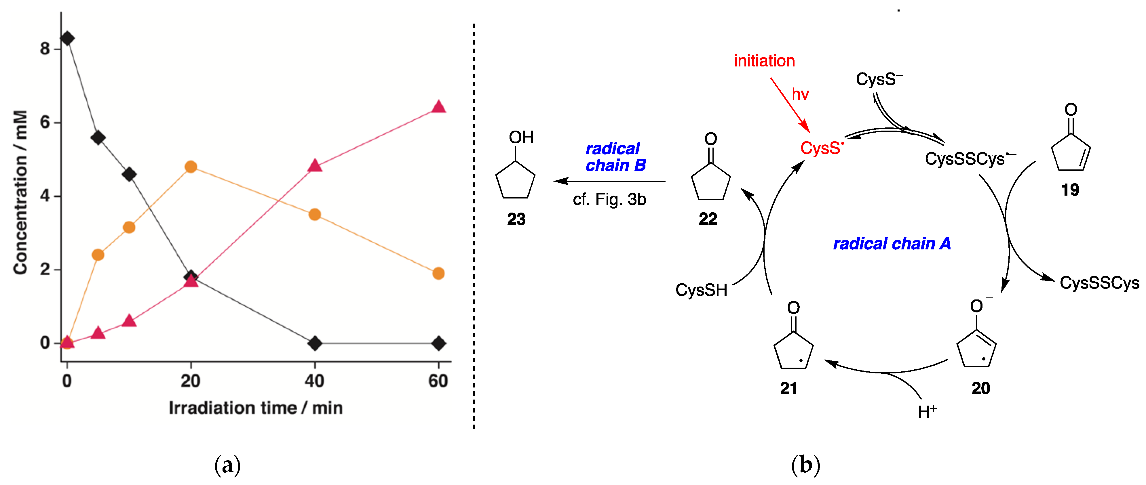 Molecules 26 05429 g006
