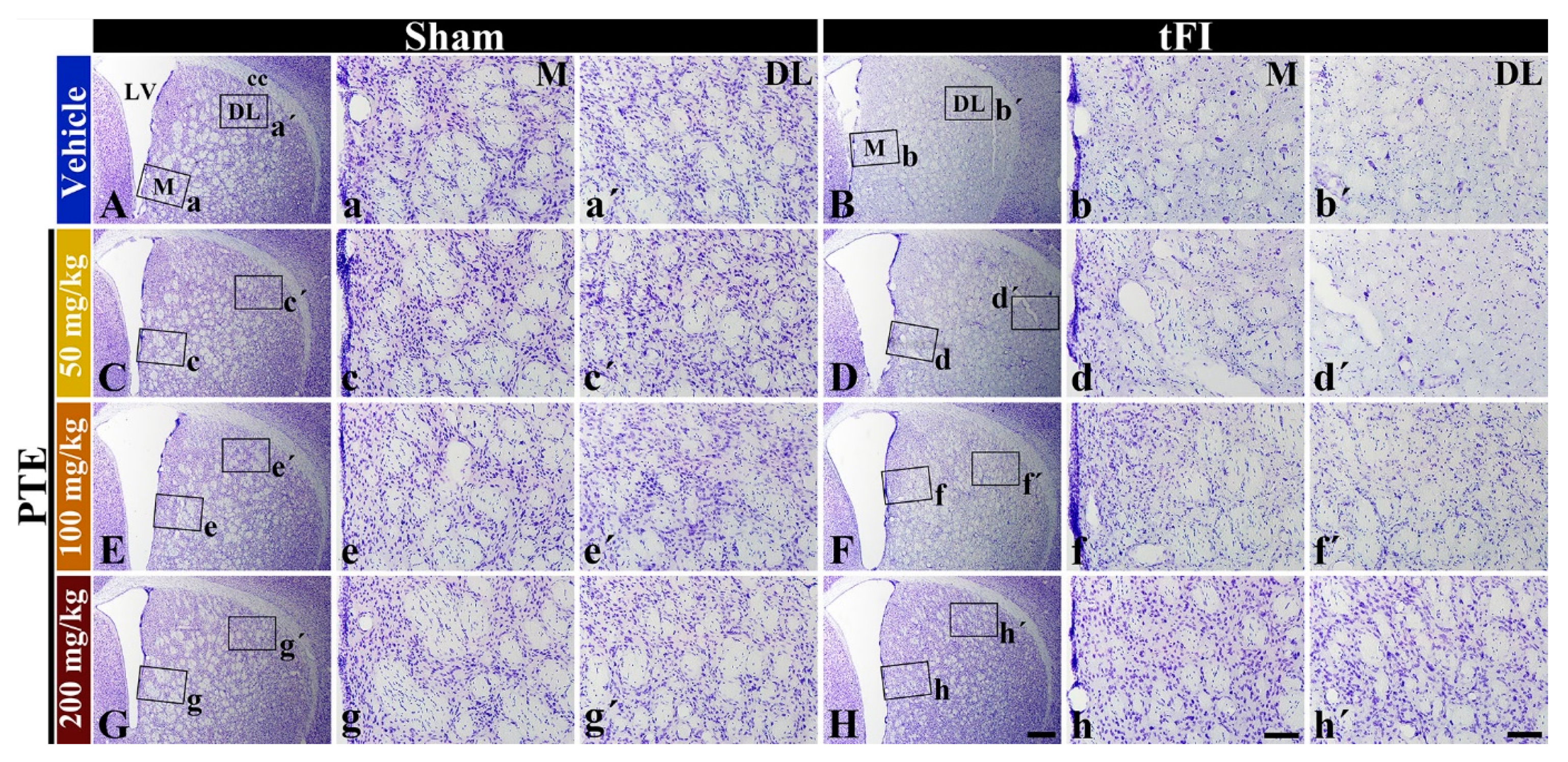 Molecules 26 05430 g004