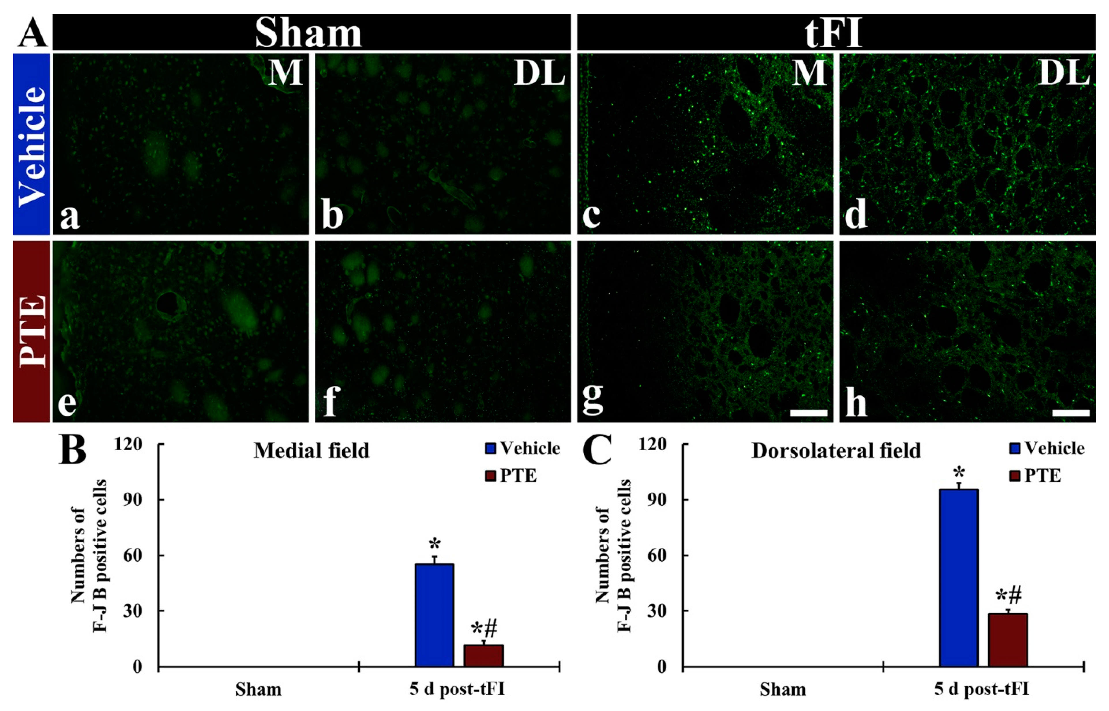 Molecules 26 05430 g005