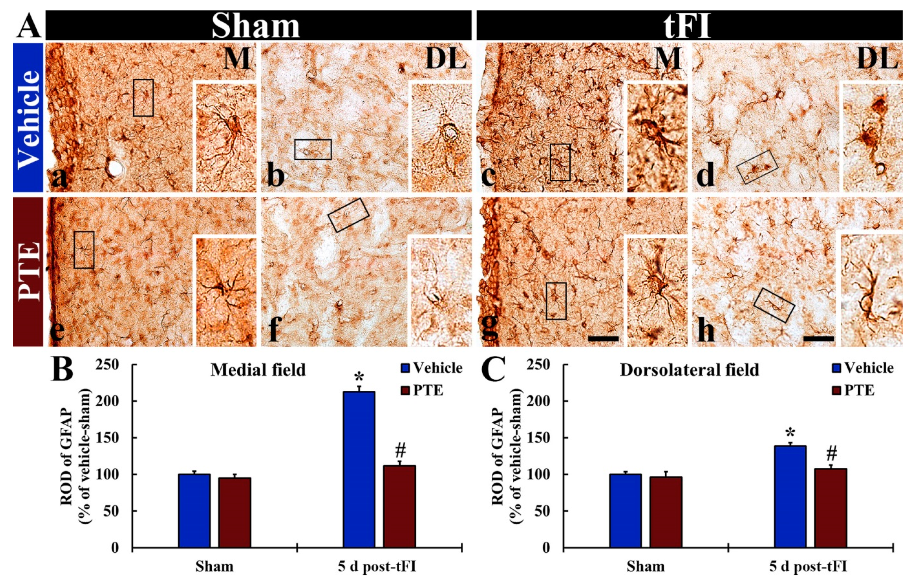 Molecules 26 05430 g006