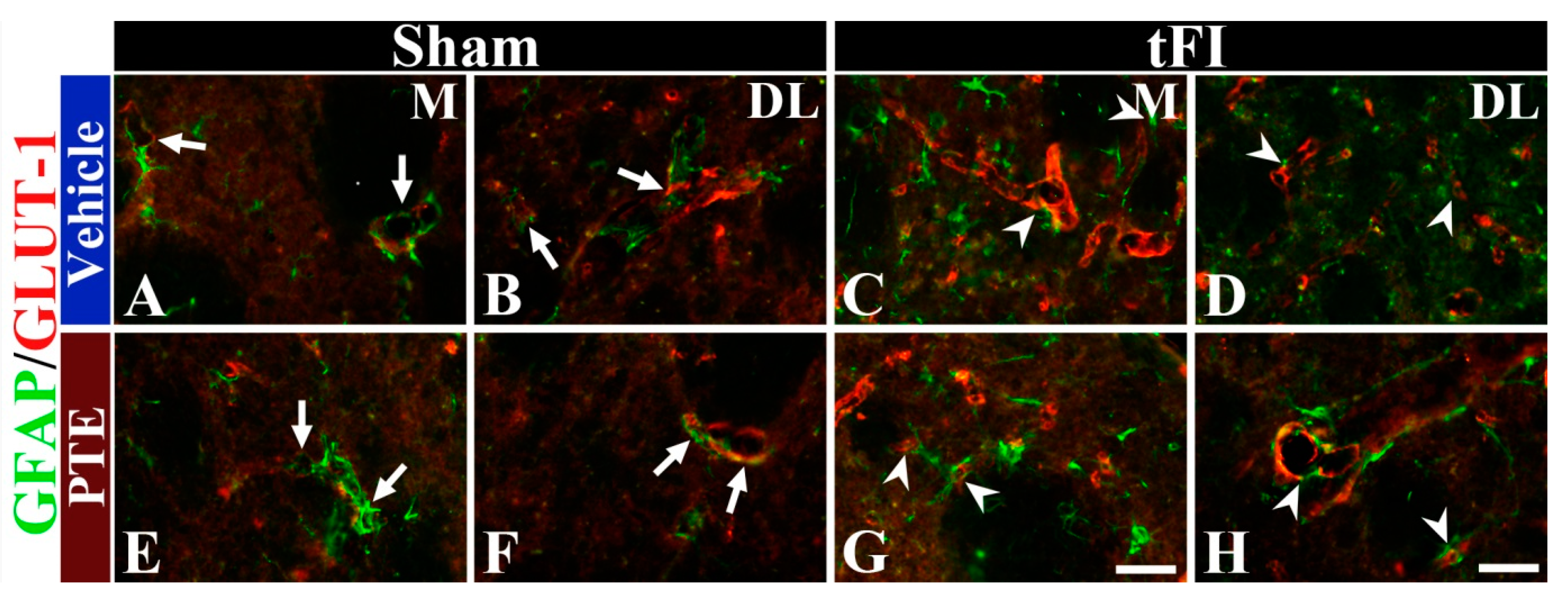 Molecules 26 05430 g007