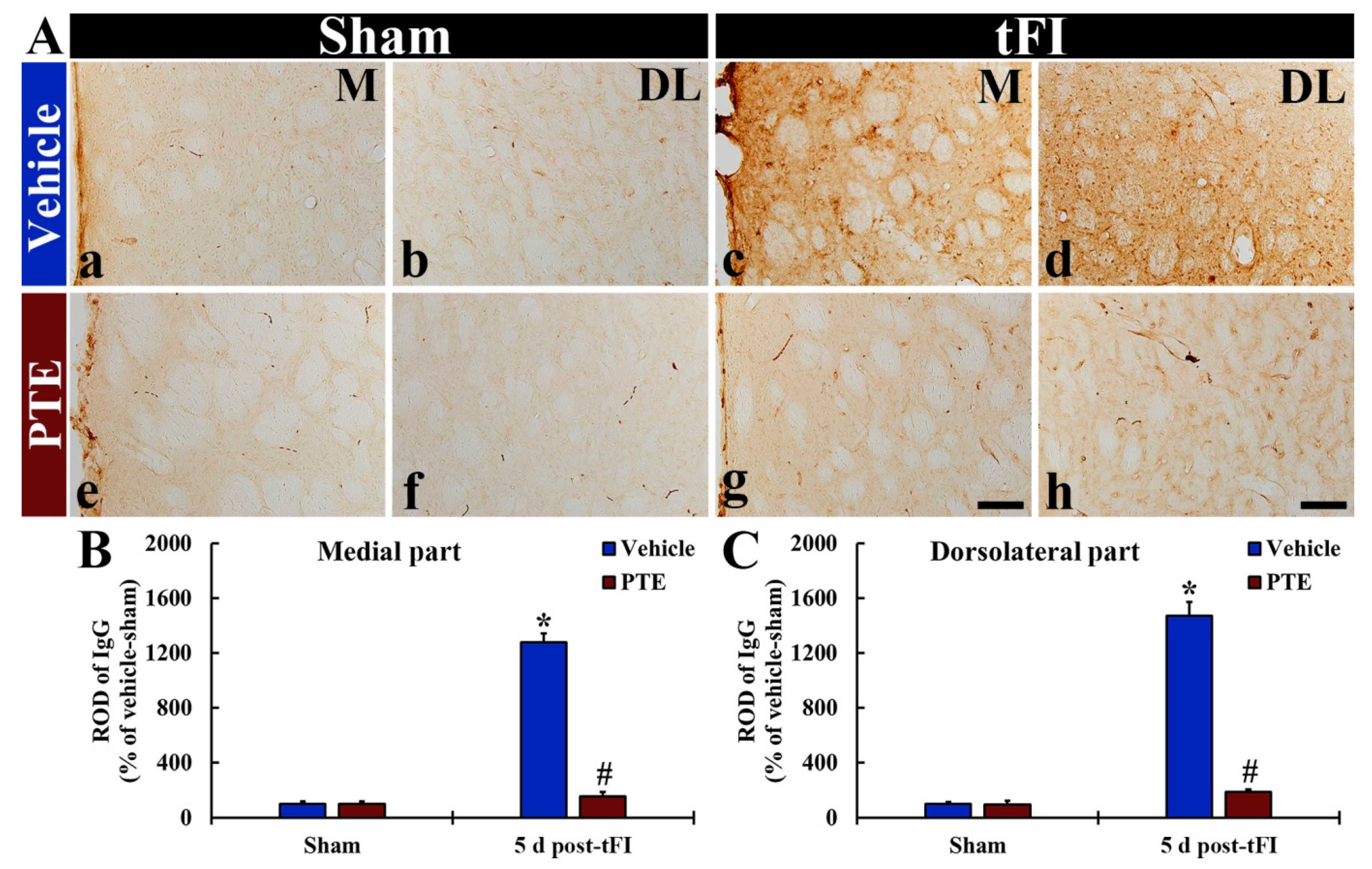Molecules 26 05430 g008