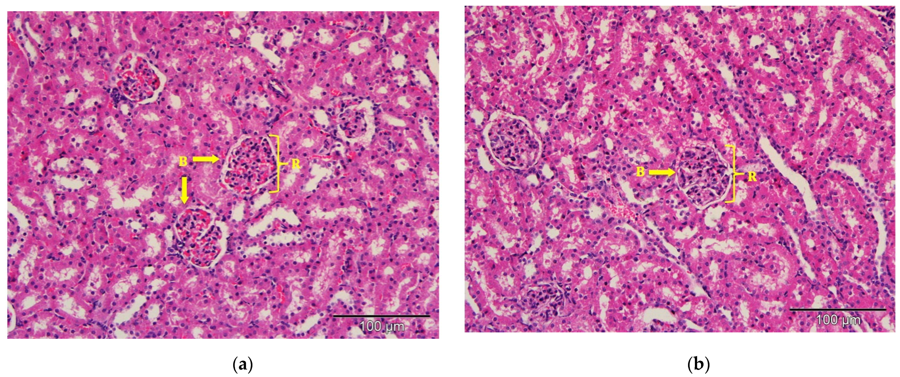 Molecules 26 05432 g007a