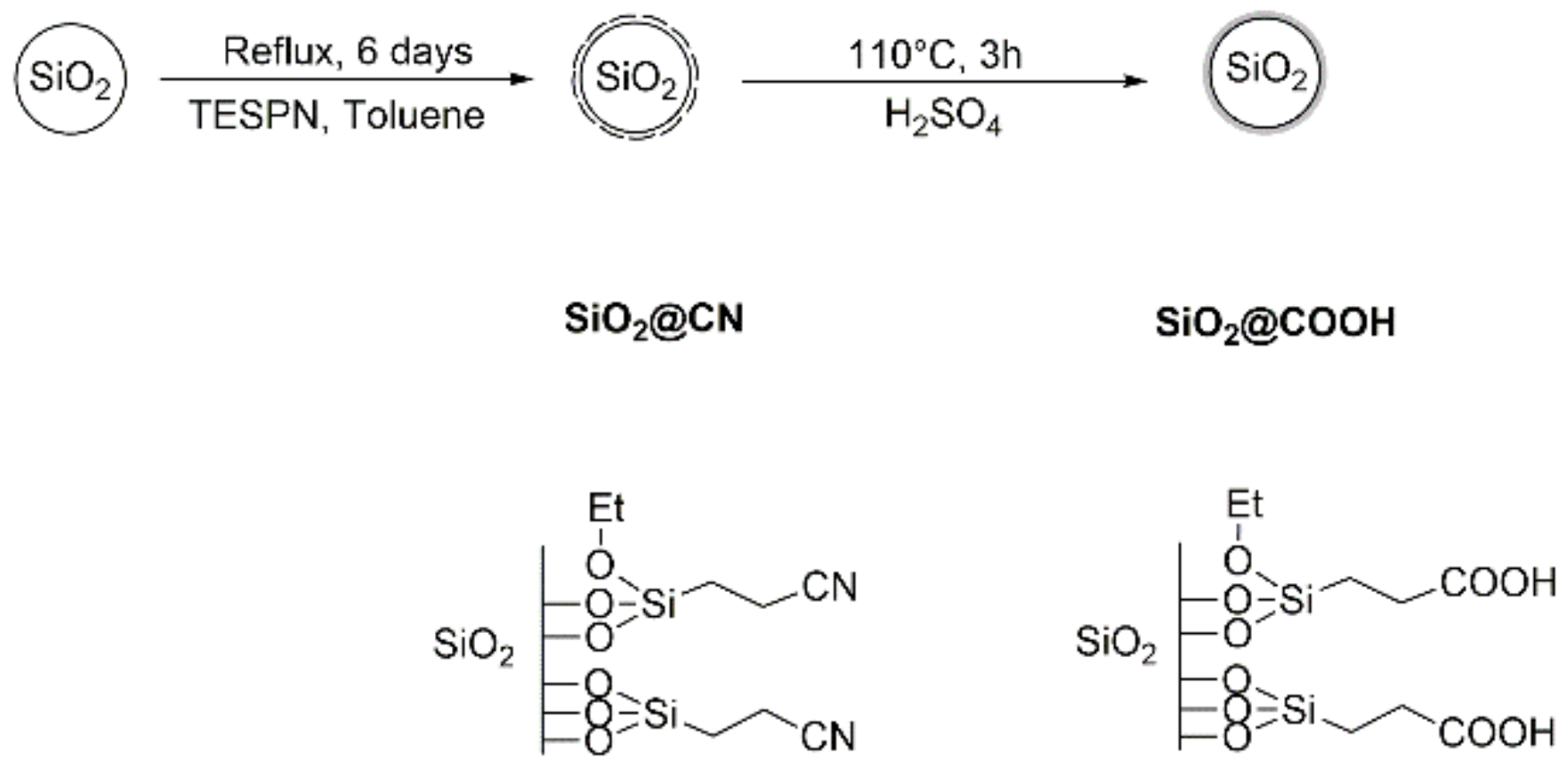 Molecules 26 05435 g004