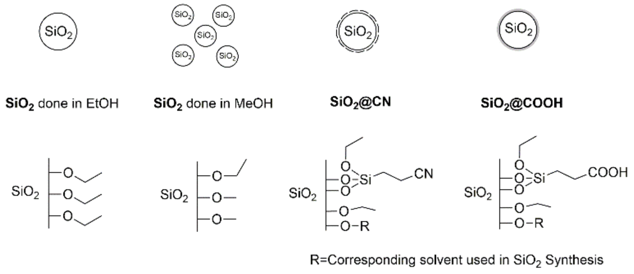 Molecules 26 05435 g011