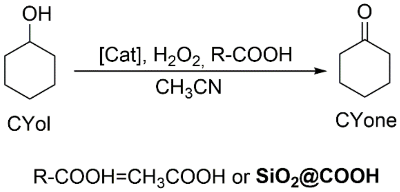Molecules 26 05435 g017