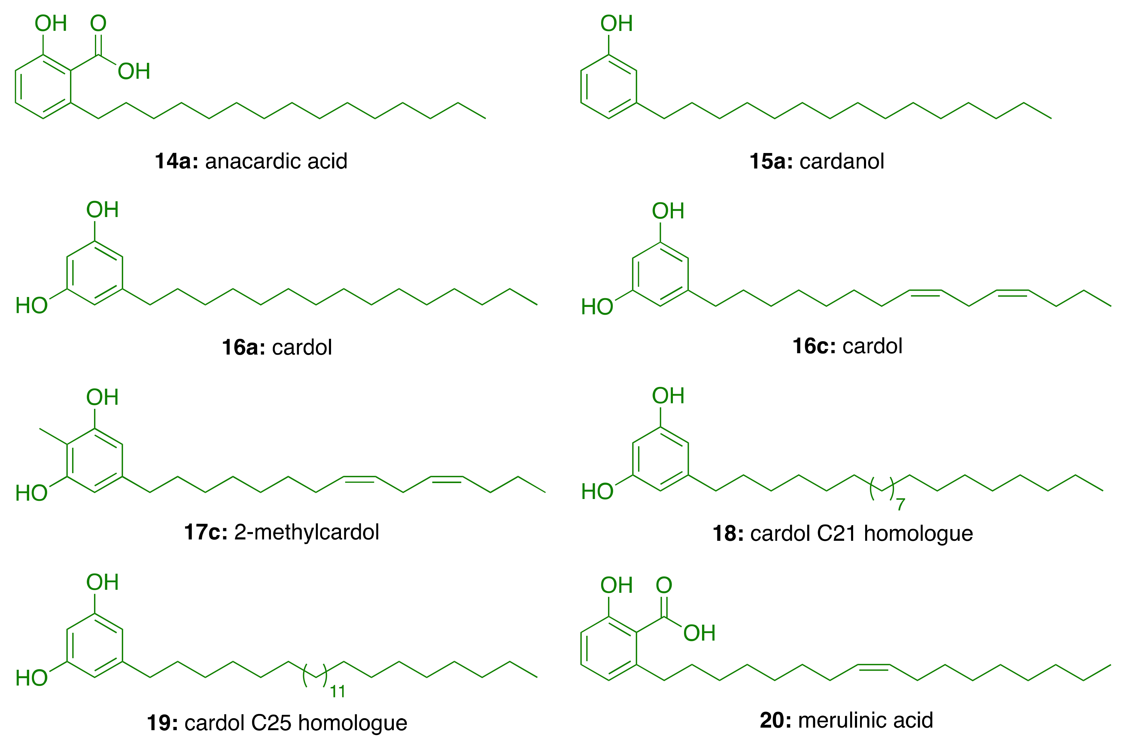 Molecules 26 05441 g005 Molecules 26 05441 g005
