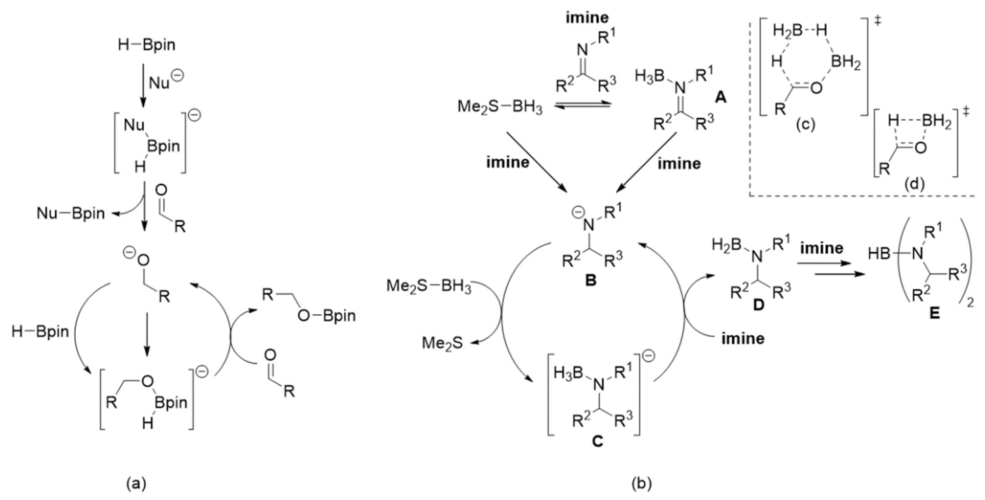 Molecules 26 05443 sch002