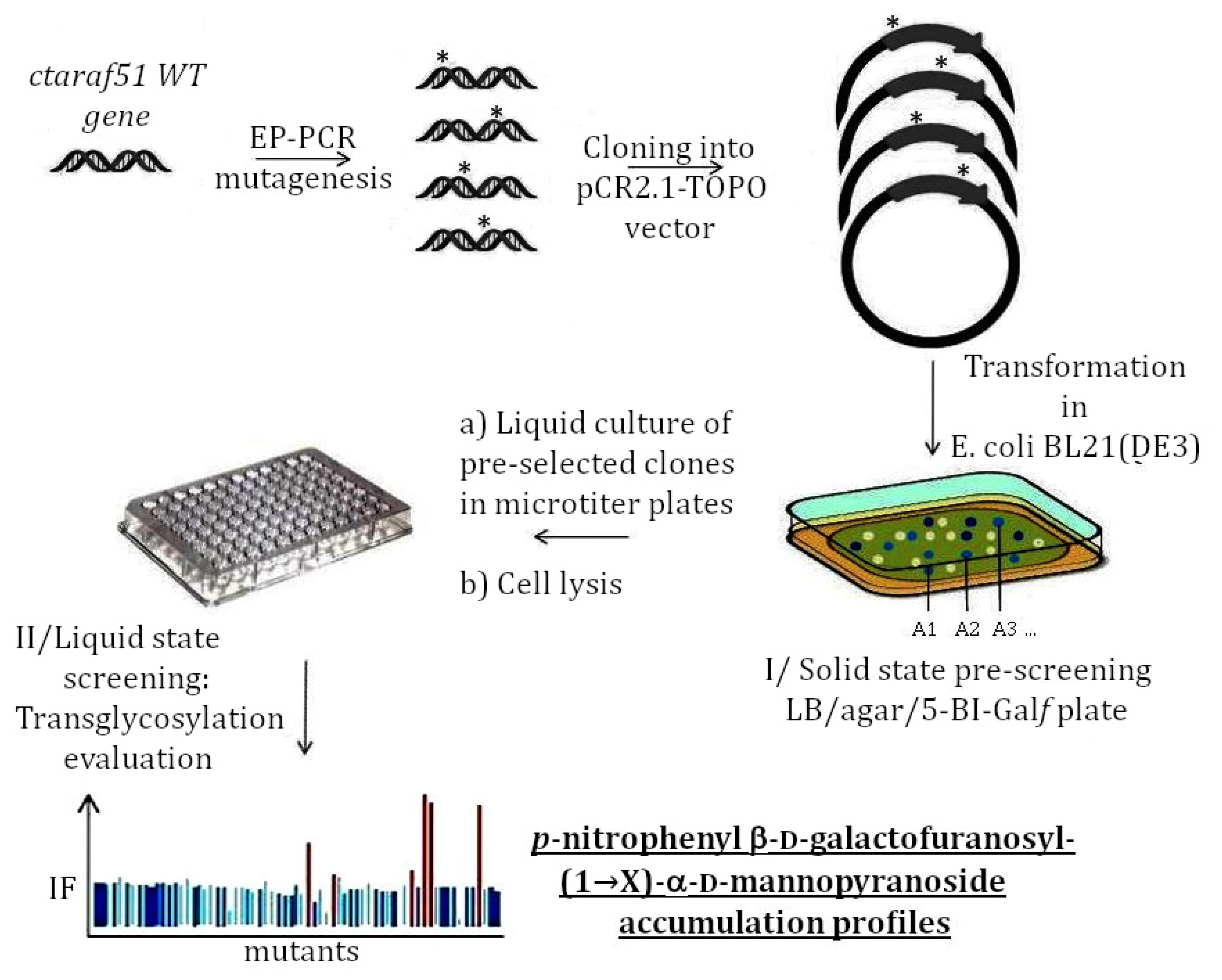 Molecules 26 05445 g003
