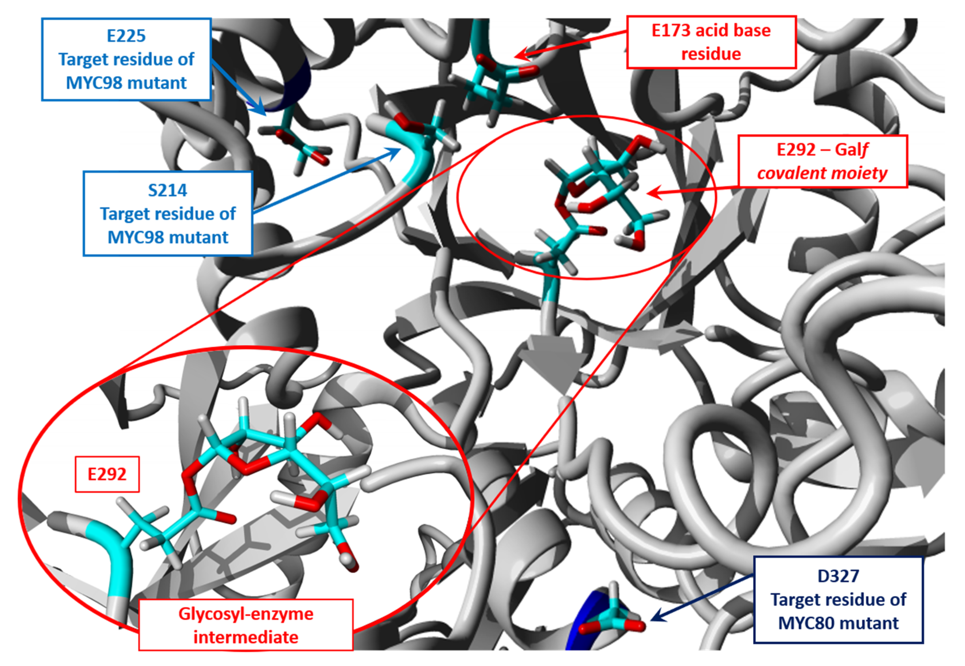 Molecules 26 05445 g006