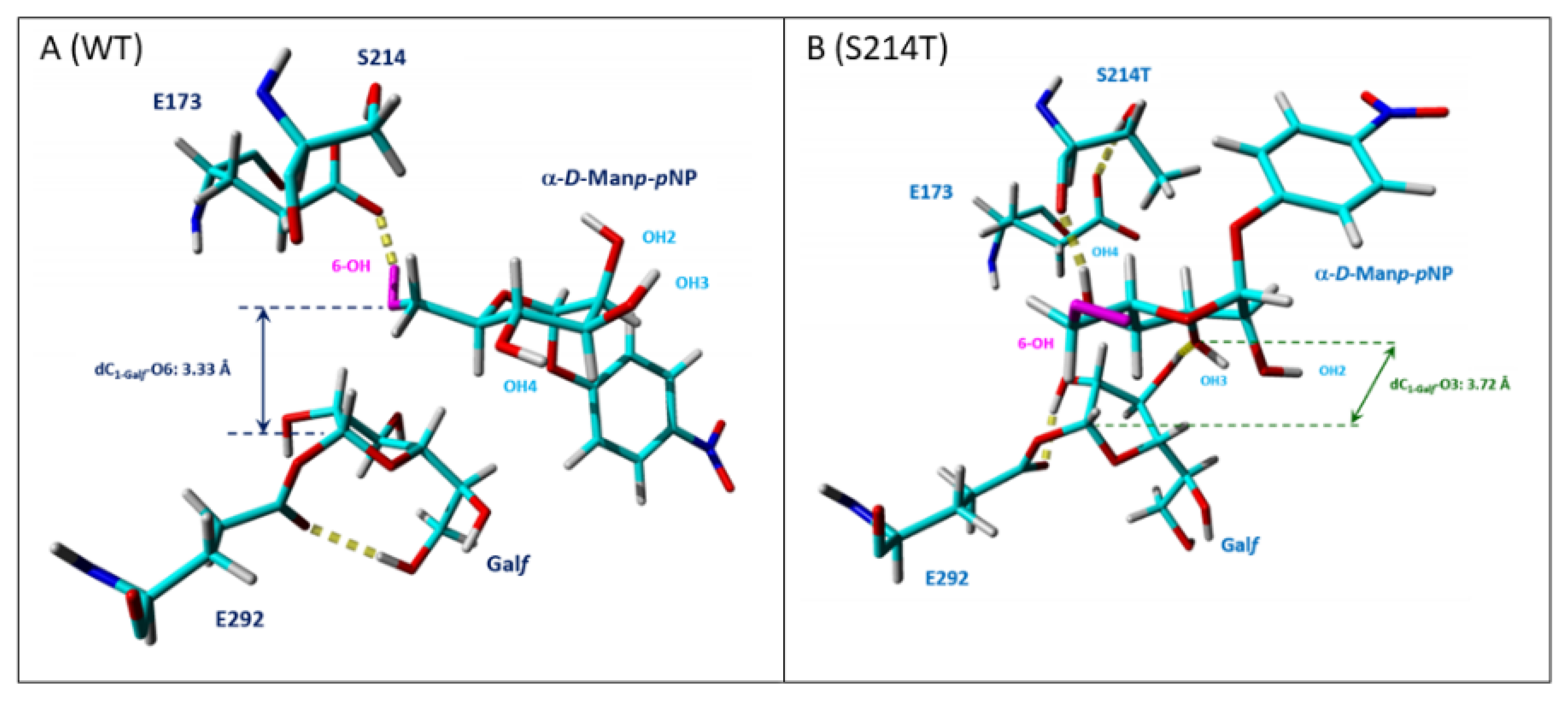 Molecules 26 05445 g007