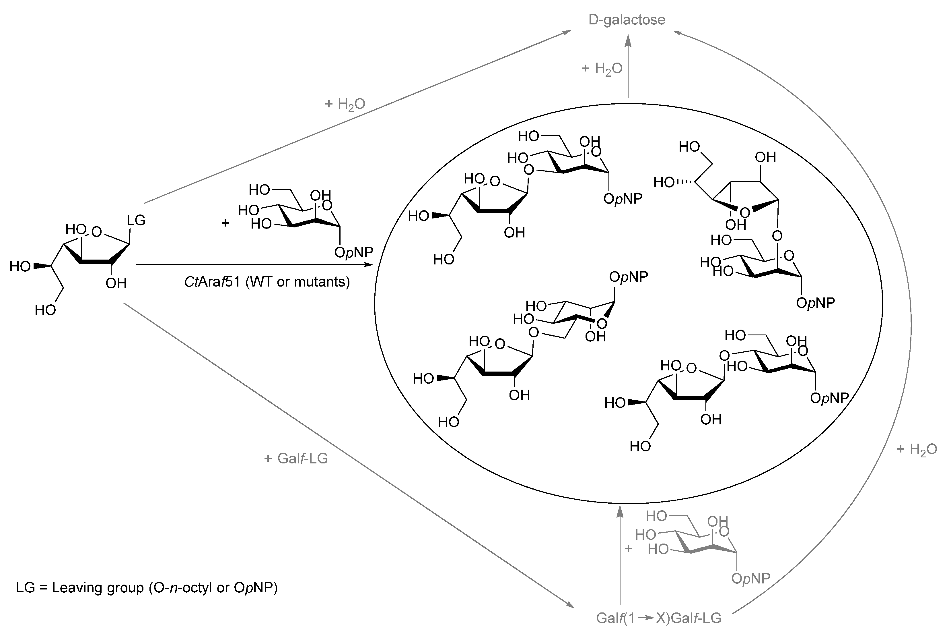 Molecules 26 05445 sch001