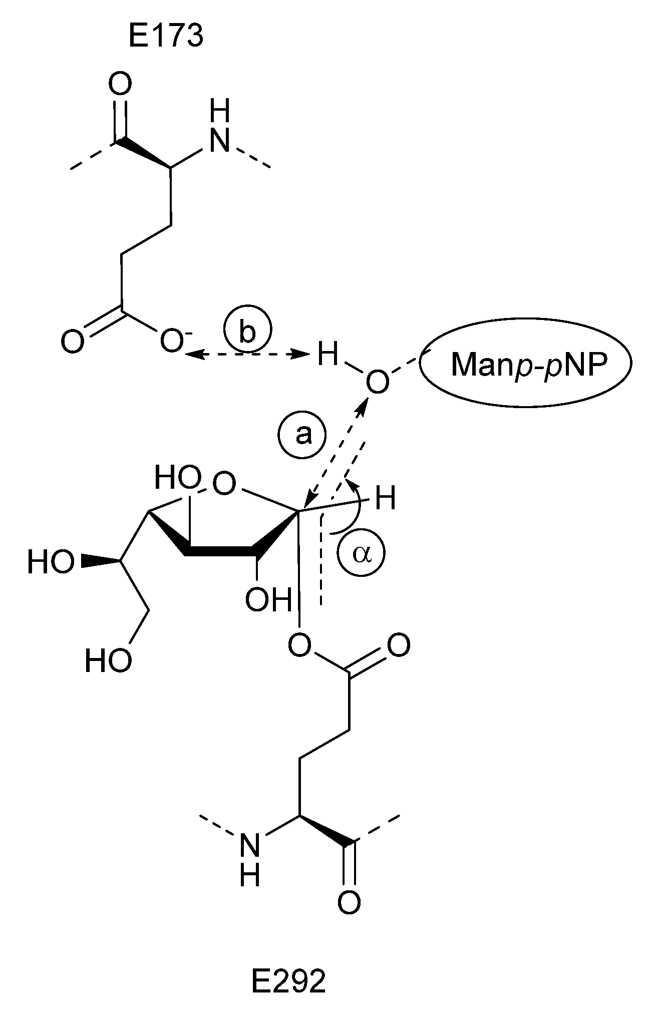Molecules 26 05445 sch002