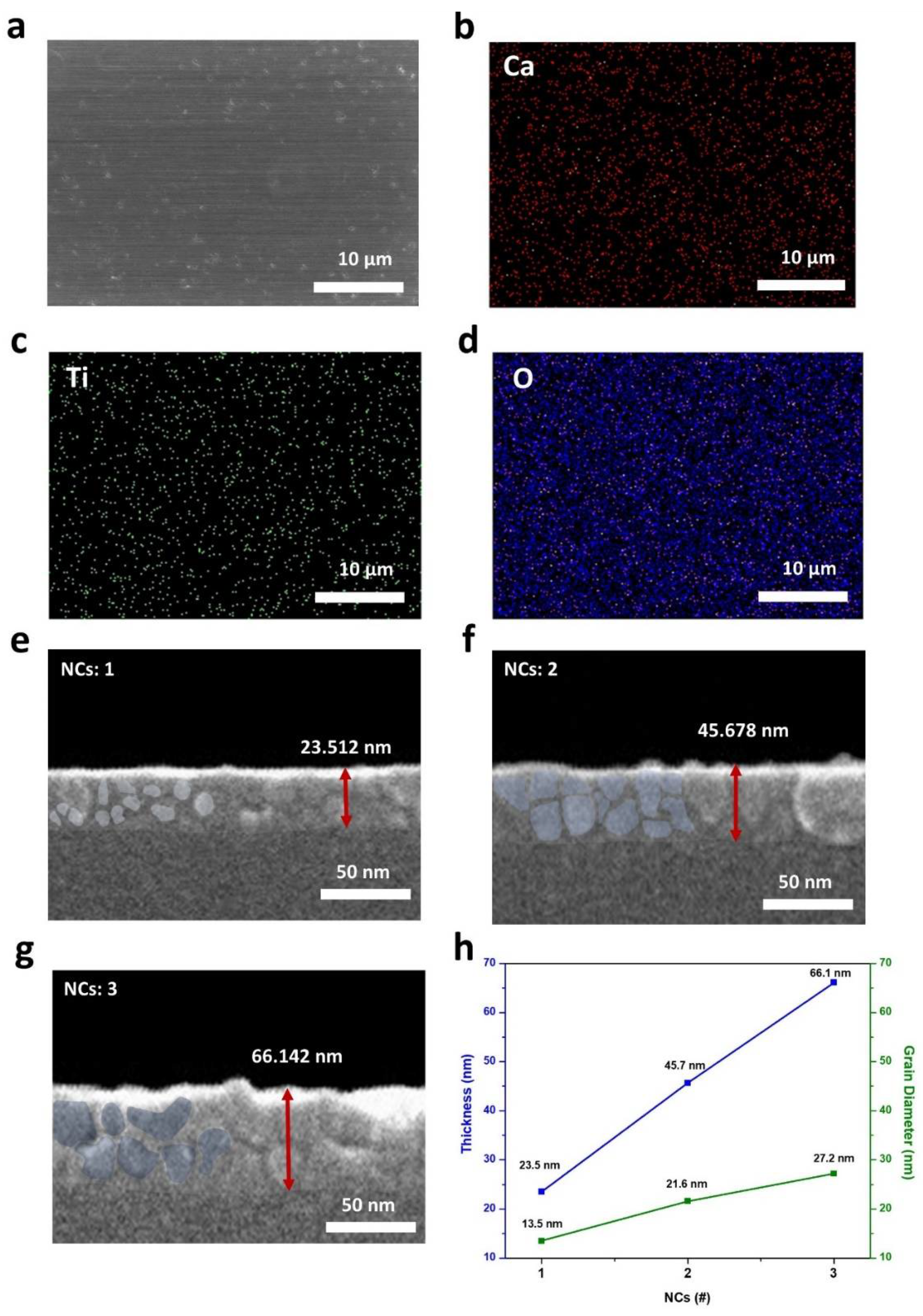 Molecules 26 05446 g004