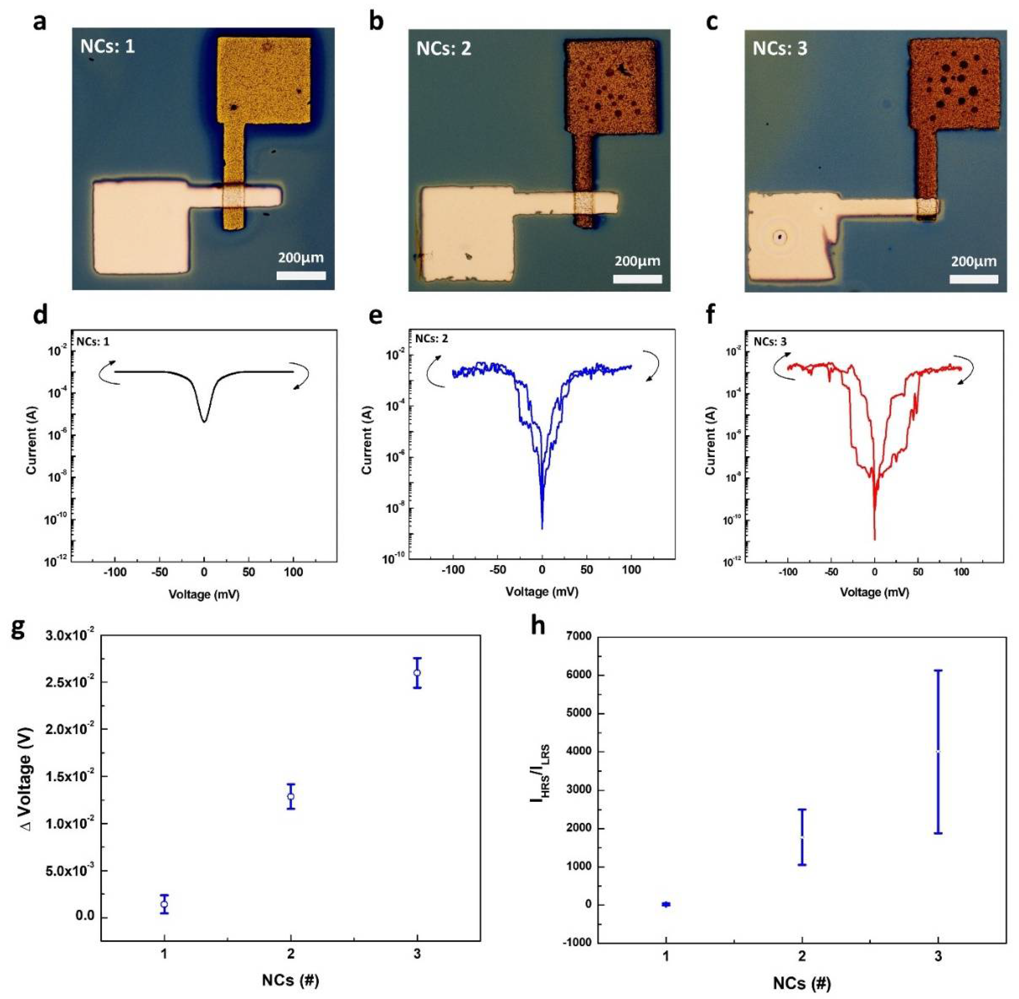 Molecules 26 05446 g008