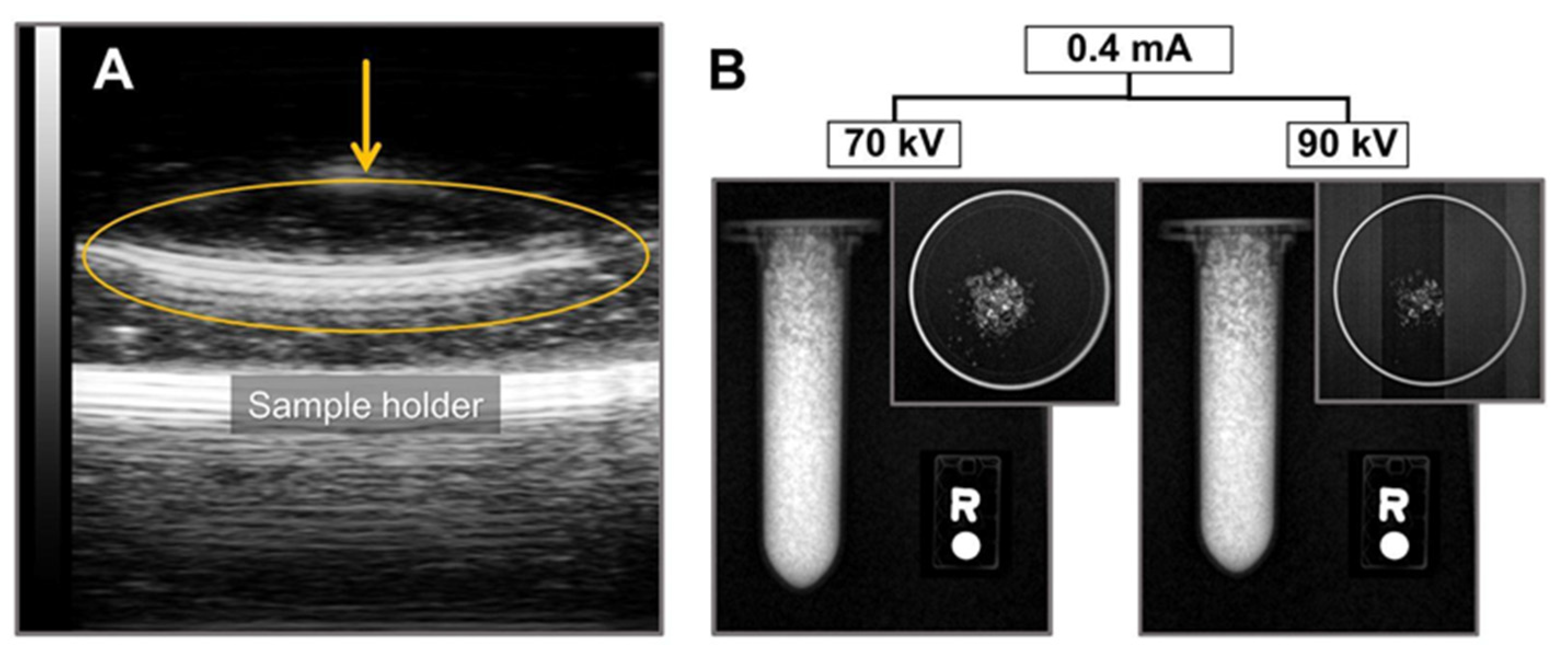 Molecules 26 05447 g007