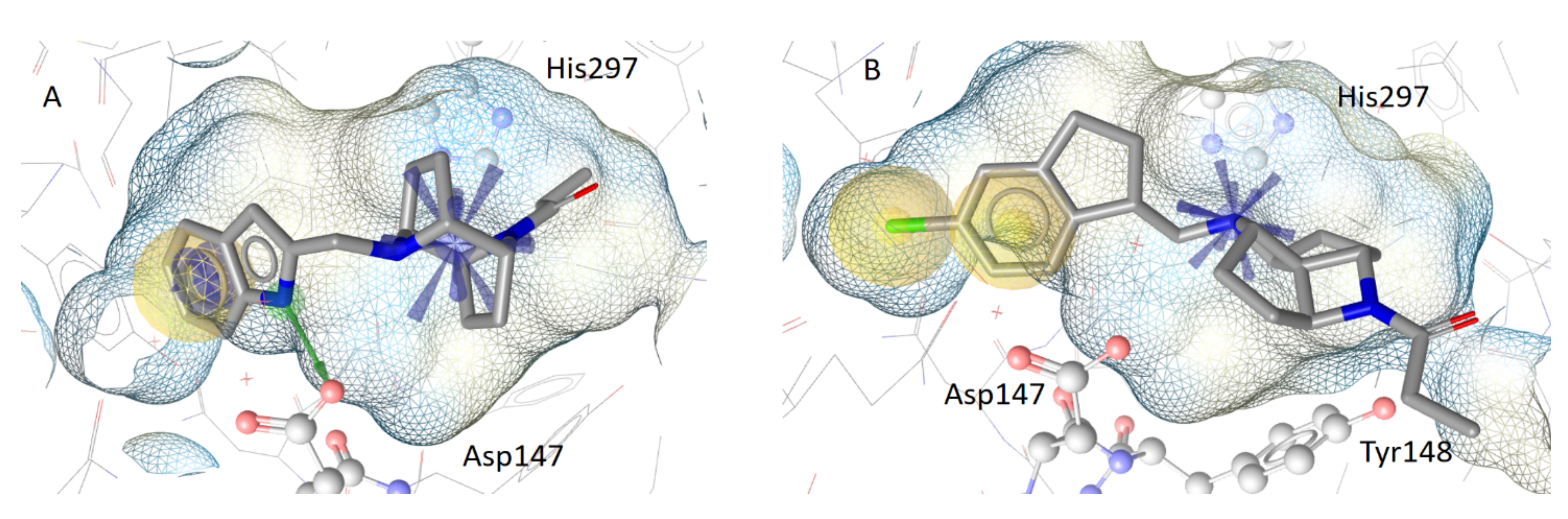 Molecules 26 05448 g005
