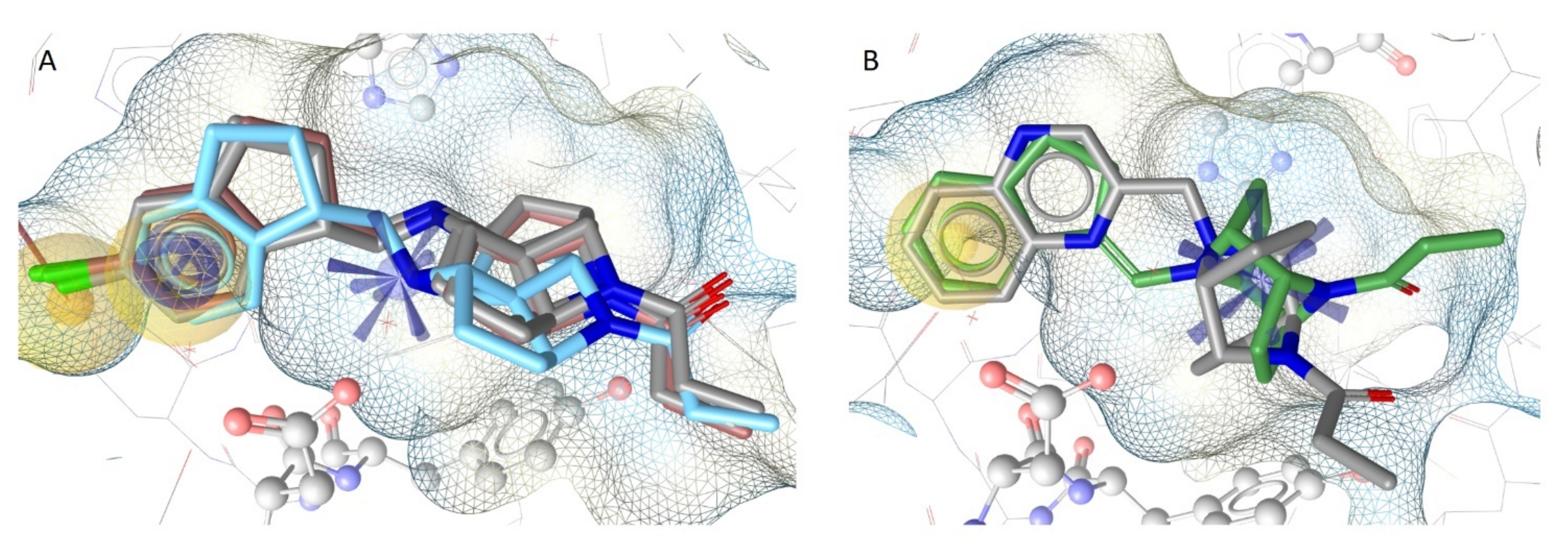 Molecules 26 05448 g006