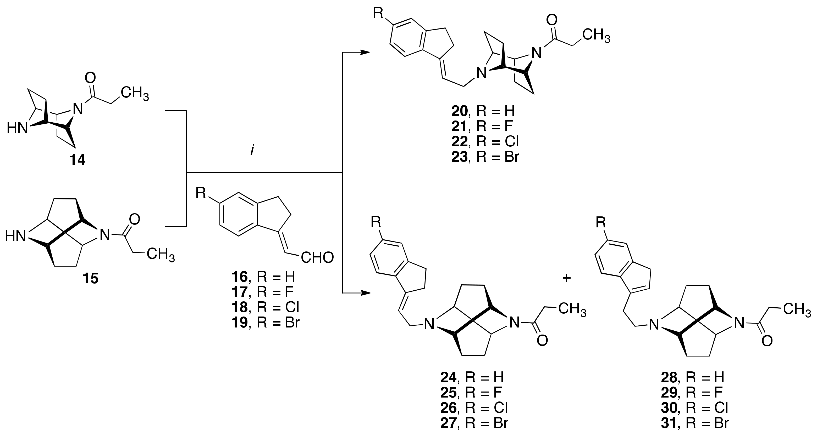 Molecules 26 05448 sch001