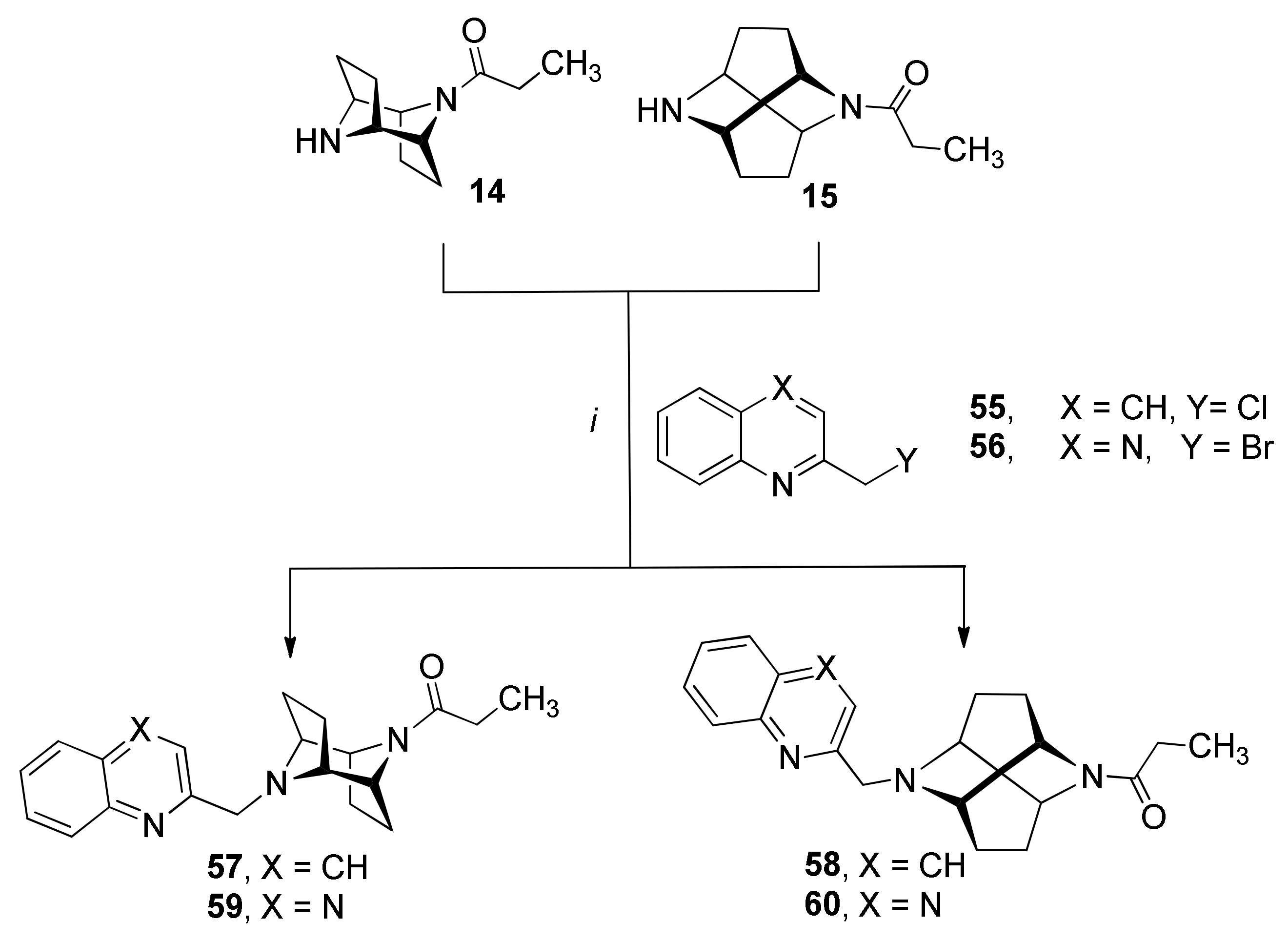 Molecules 26 05448 sch004