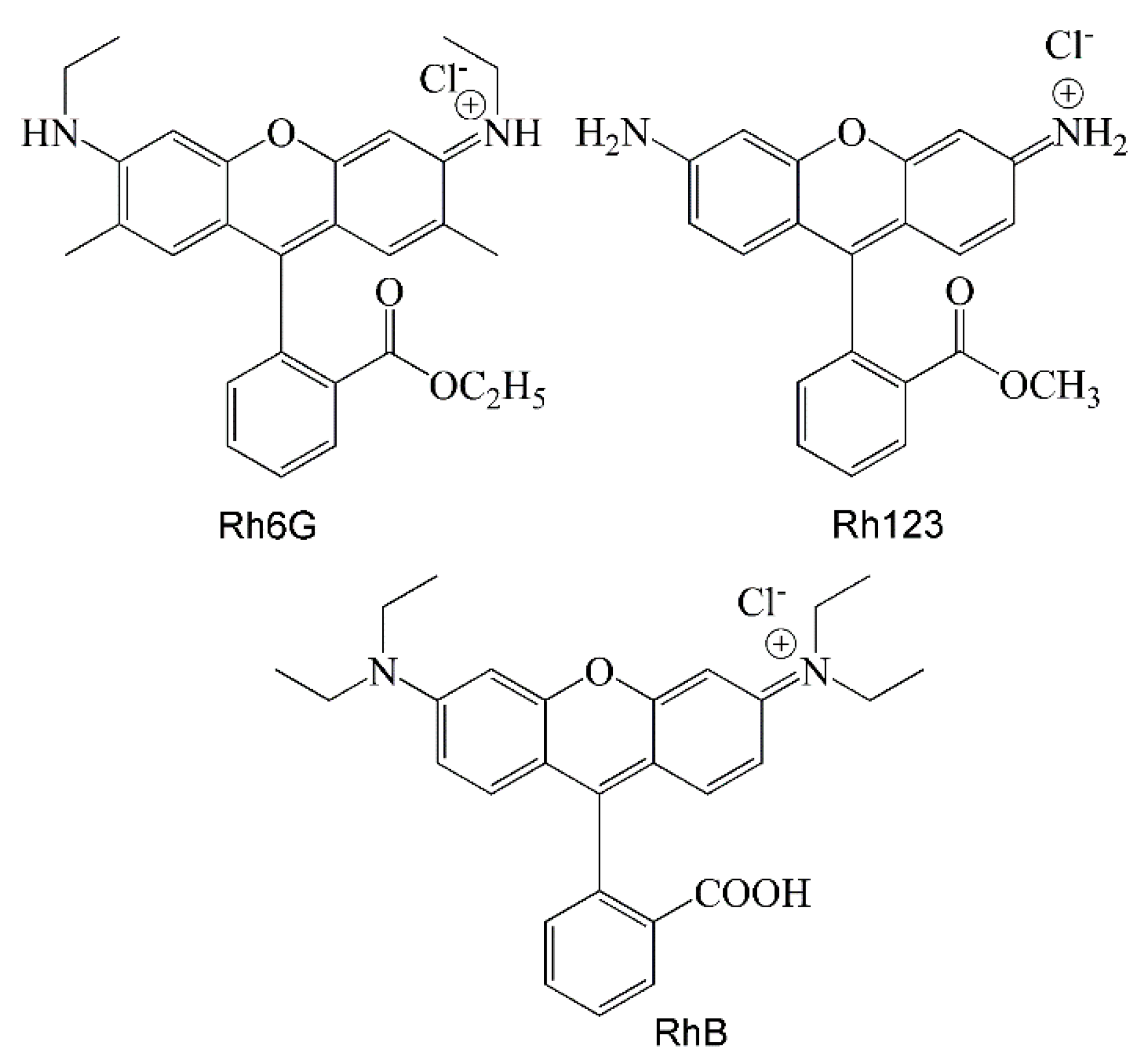 Molecules 26 05451 sch003