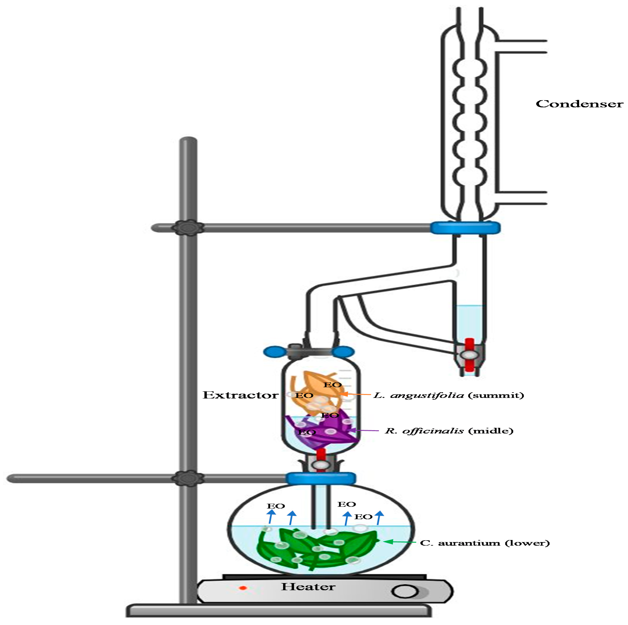 Molecules 26 05452 g001 Molecules 26 05452 g001