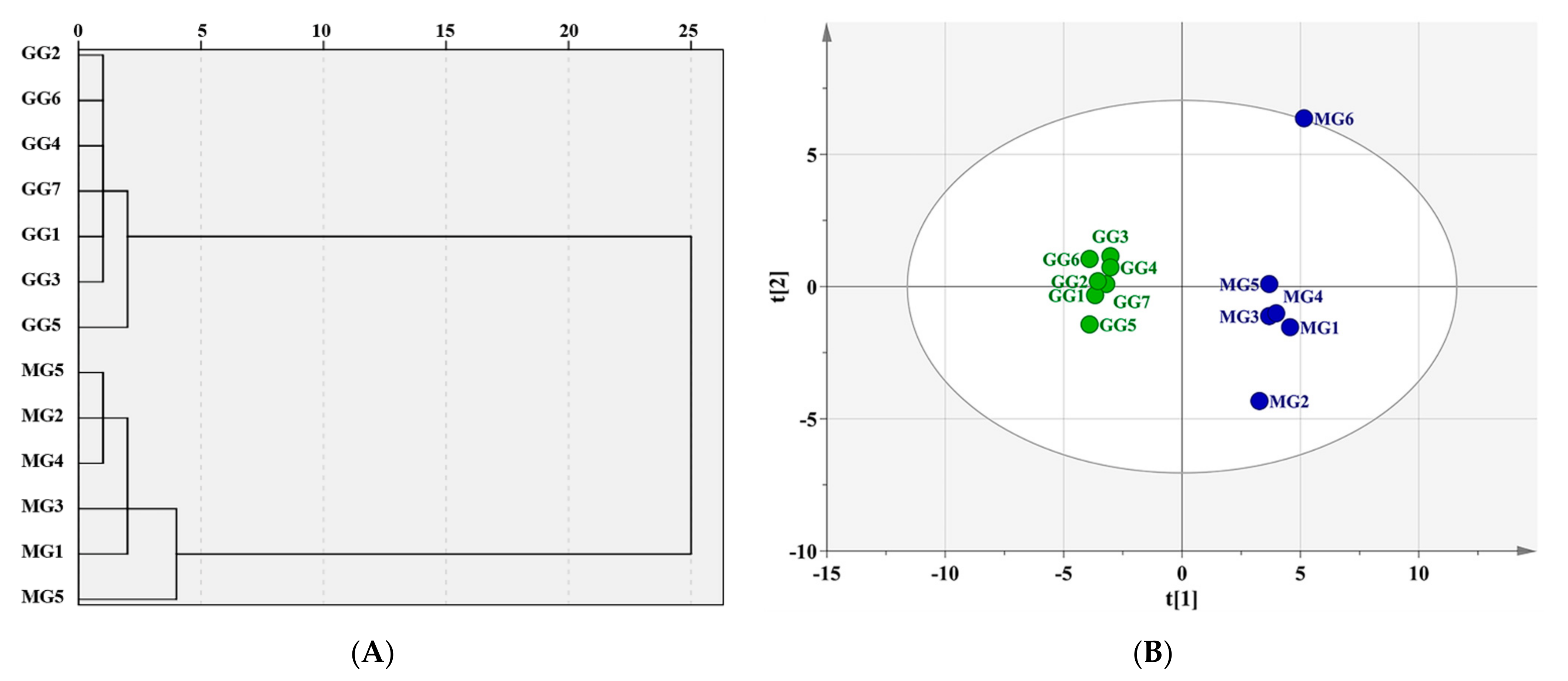 Molecules 26 05456 g002