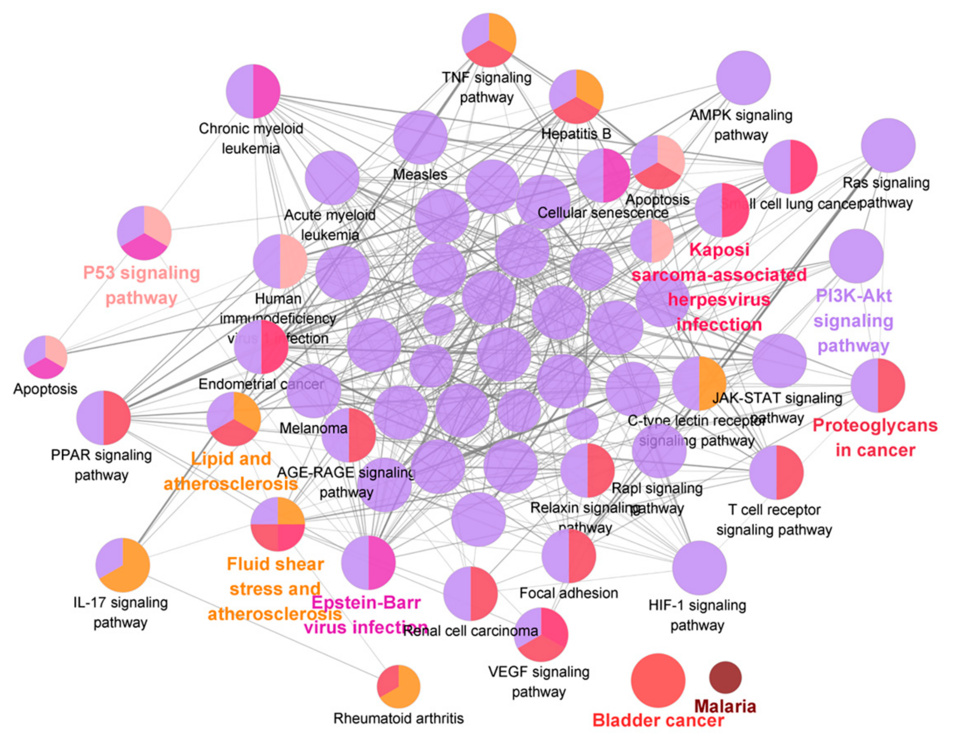 Molecules 26 05456 g009