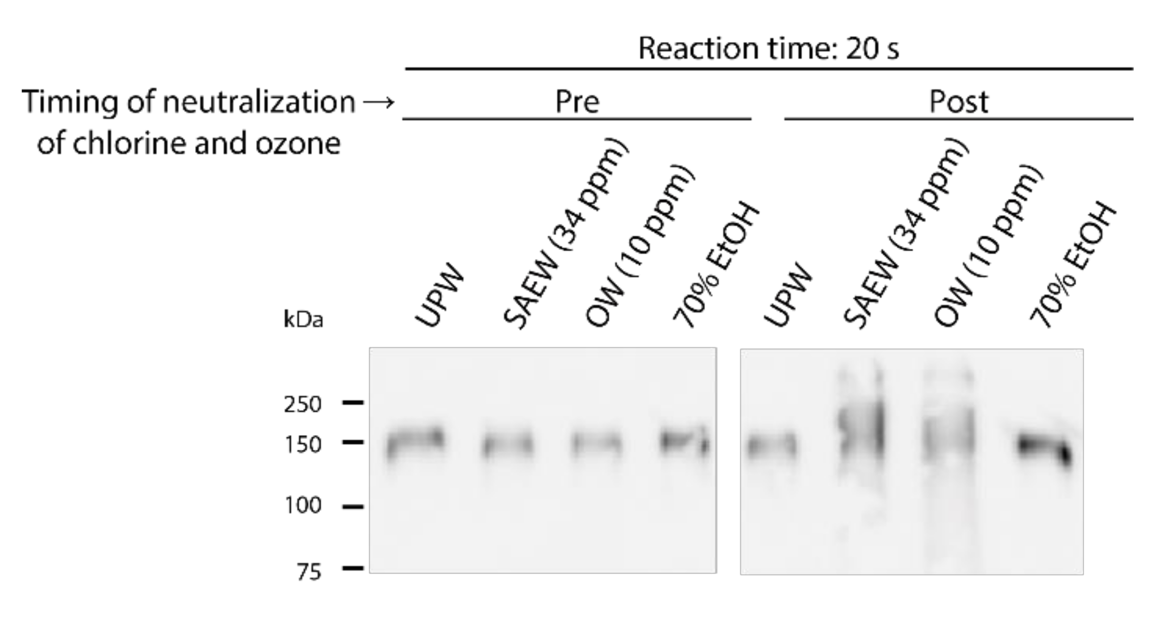 Molecules 26 05465 g004