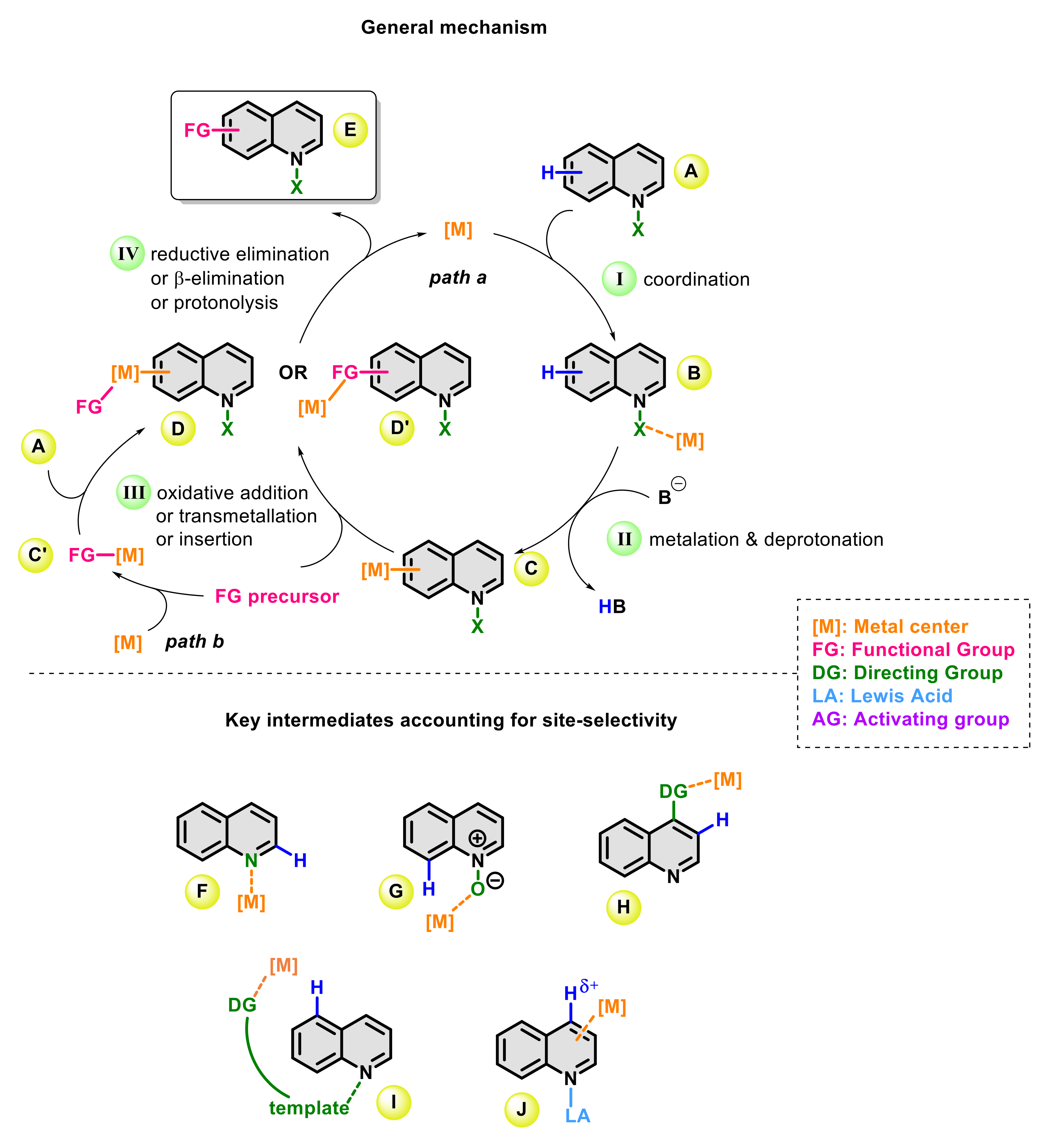 Molecules 26 05467 sch003