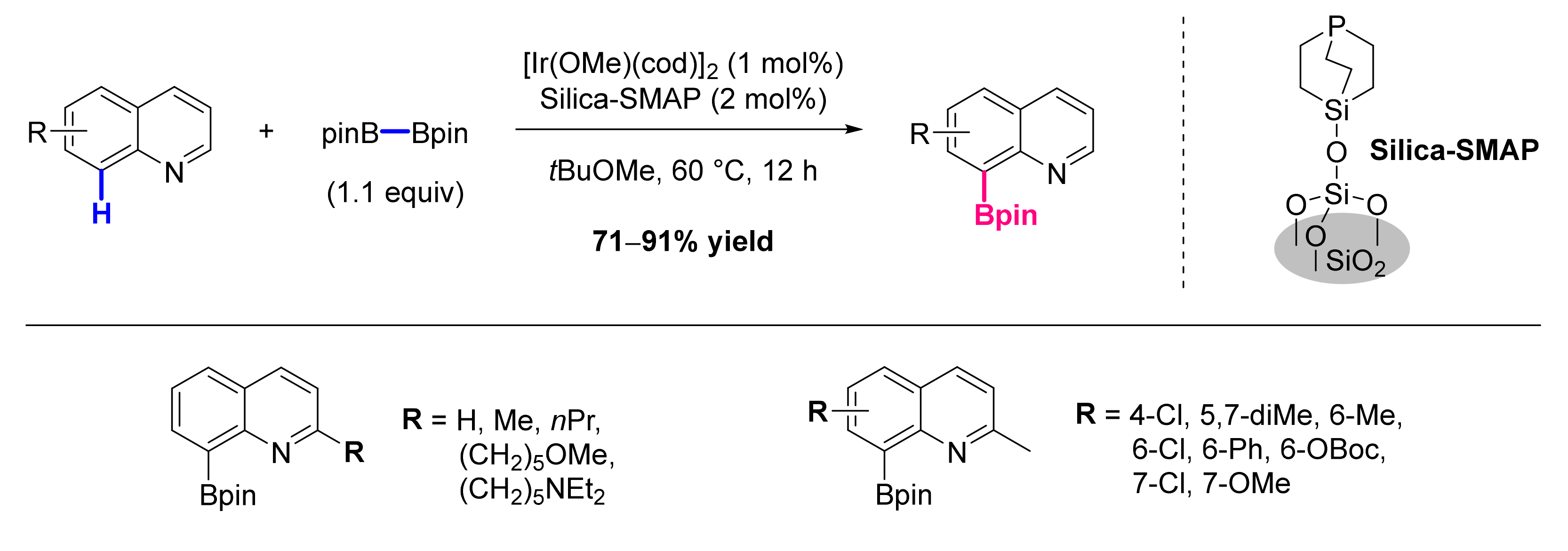 Molecules 26 05467 sch085