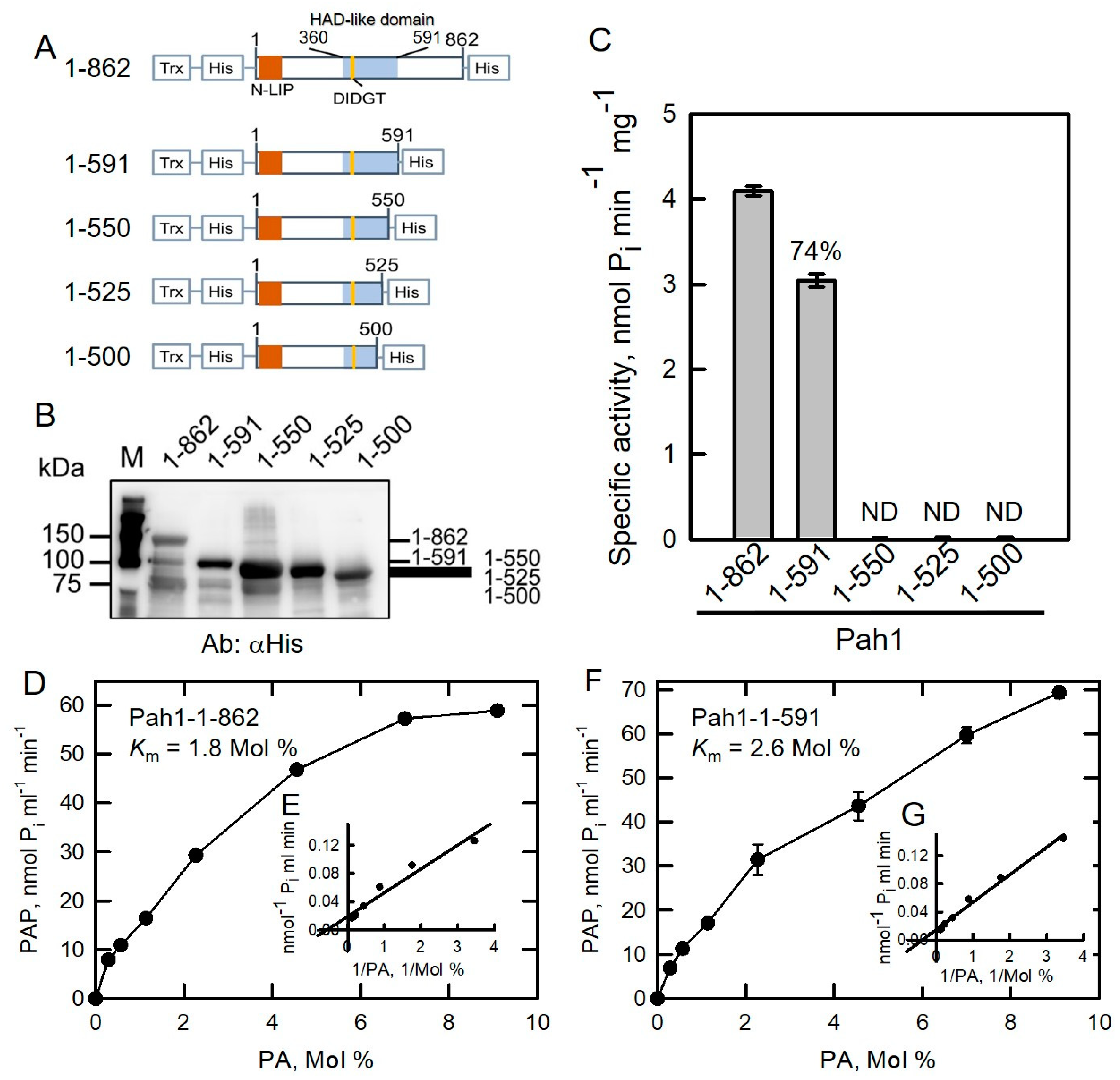 Molecules 26 05470 g002