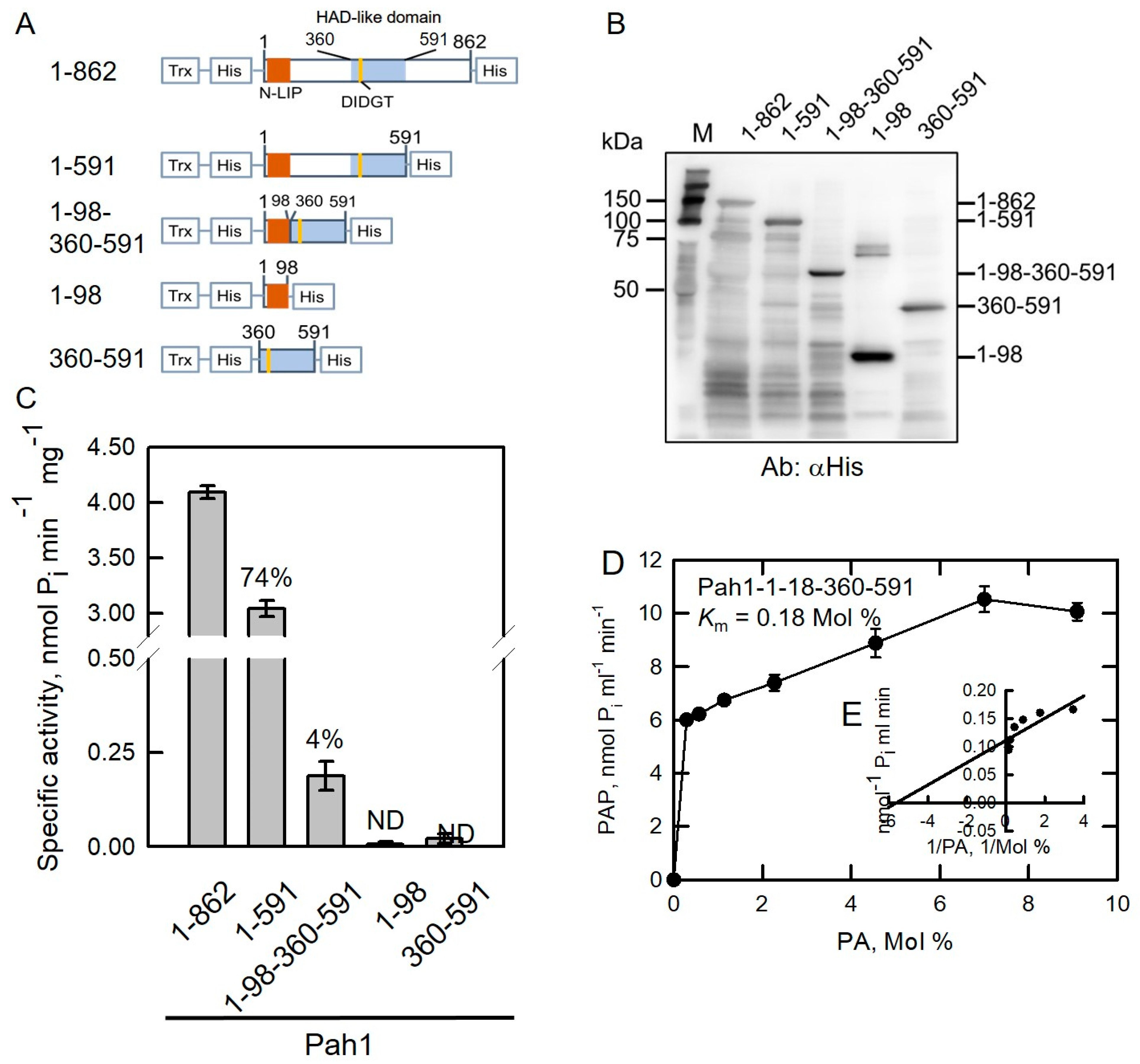 Molecules 26 05470 g003