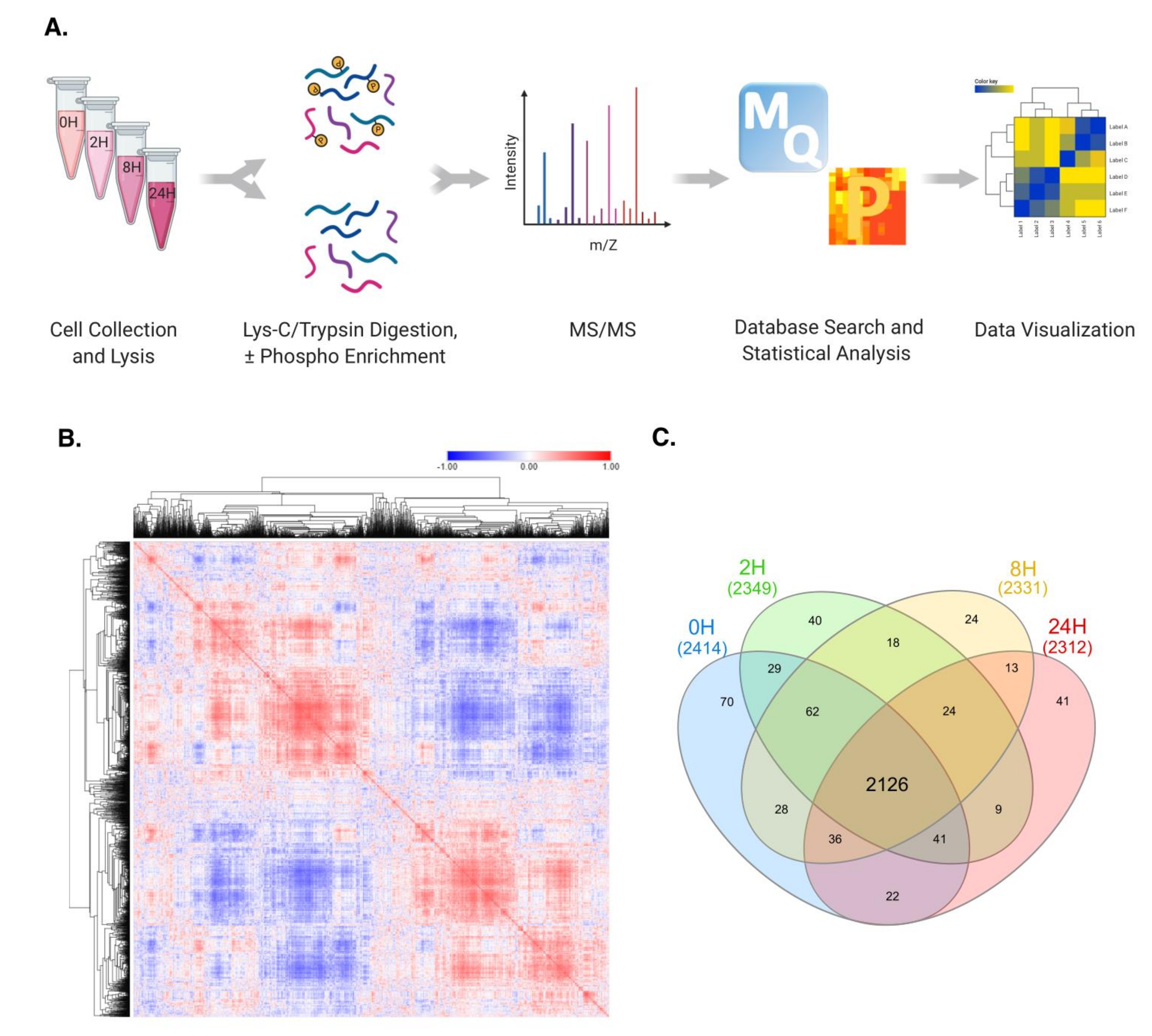 Molecules 26 05472 g001