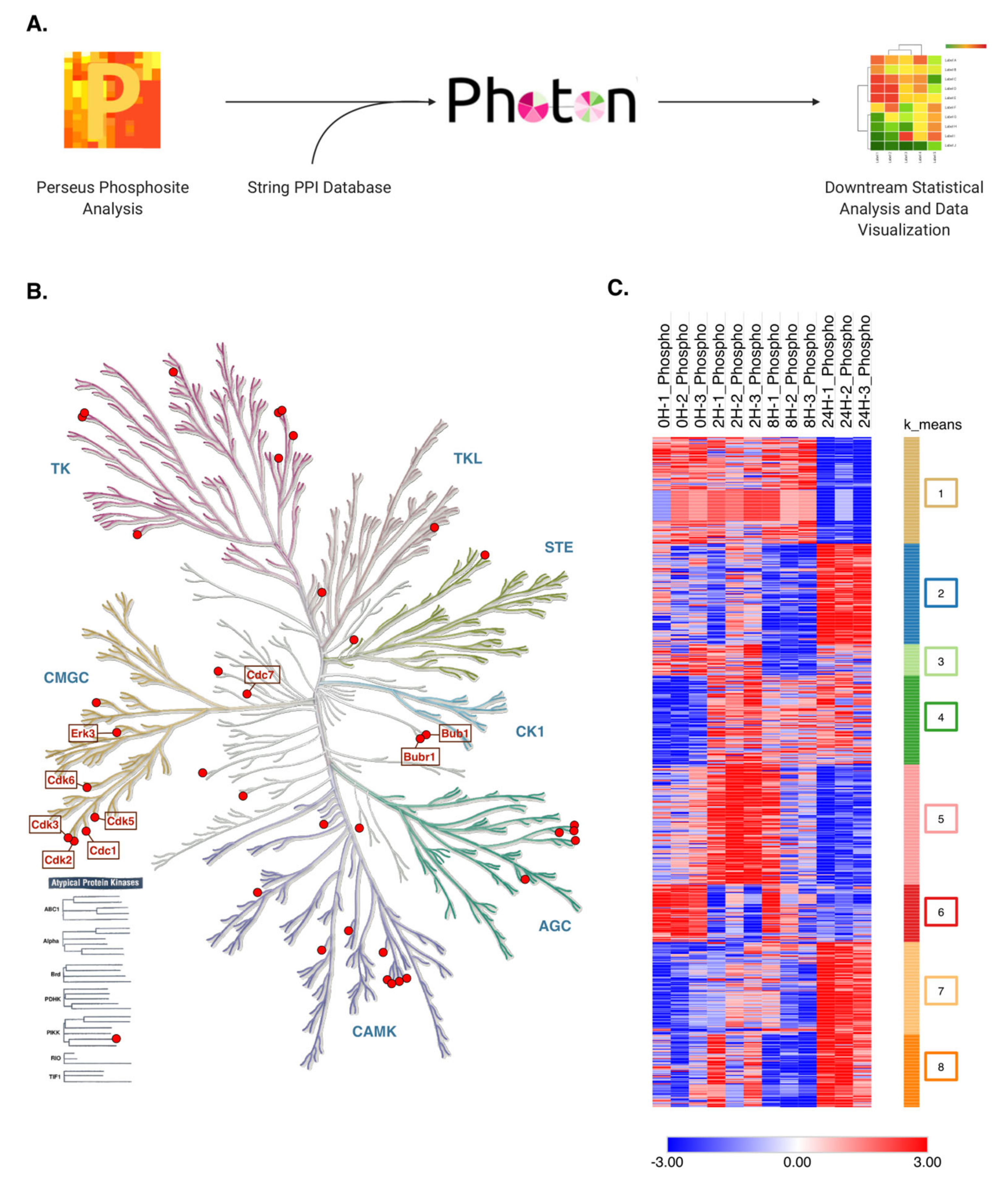 Molecules 26 05472 g006