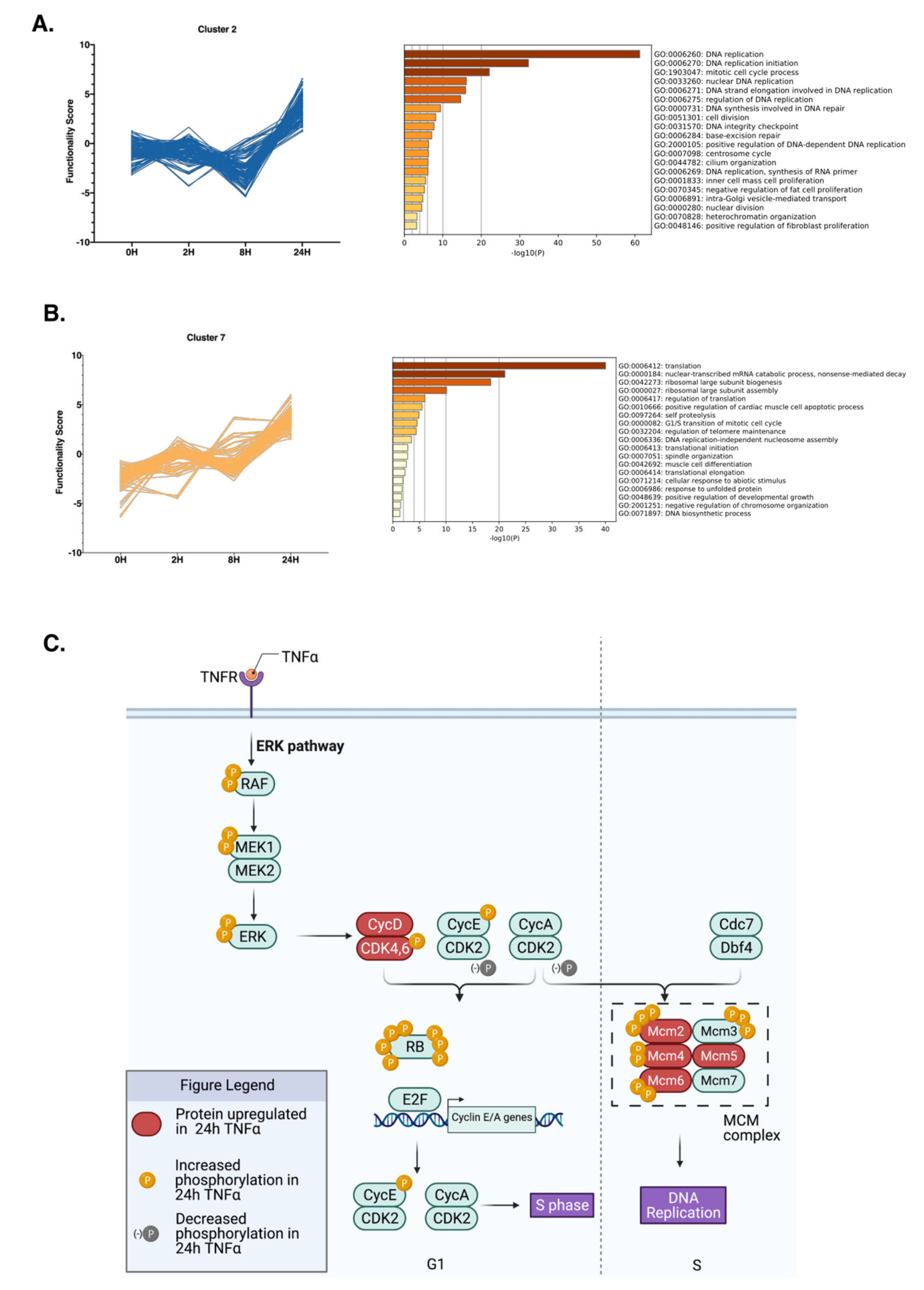 Molecules 26 05472 g007