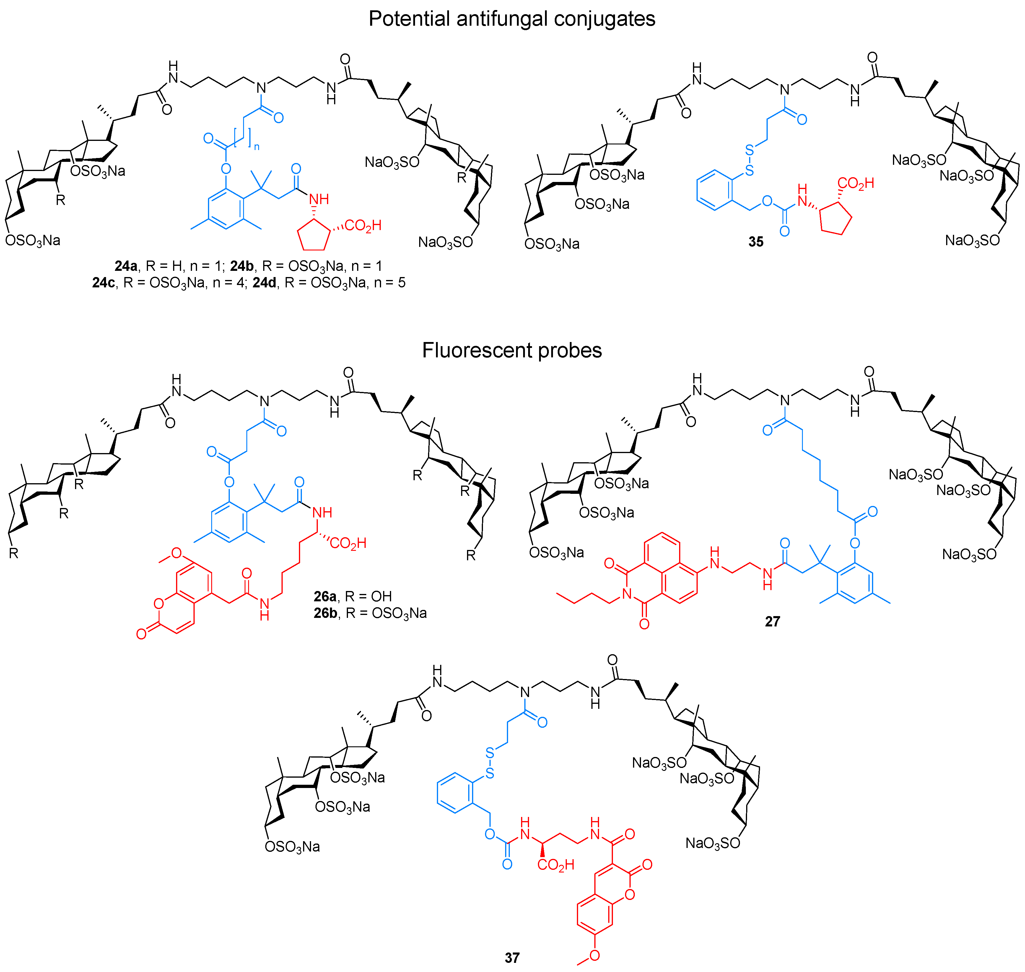 Molecules 26 05475 g001