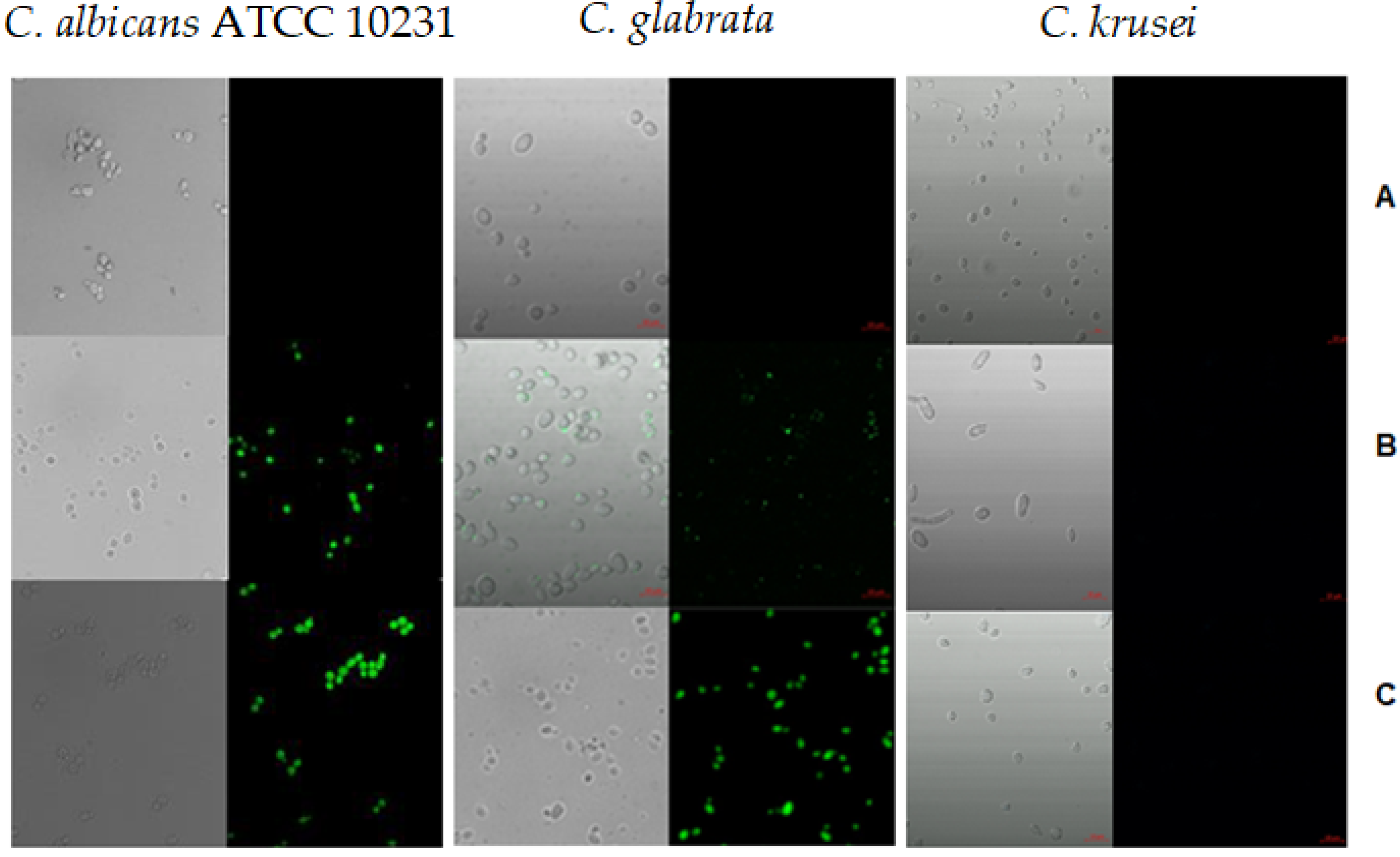 Molecules 26 05475 g002