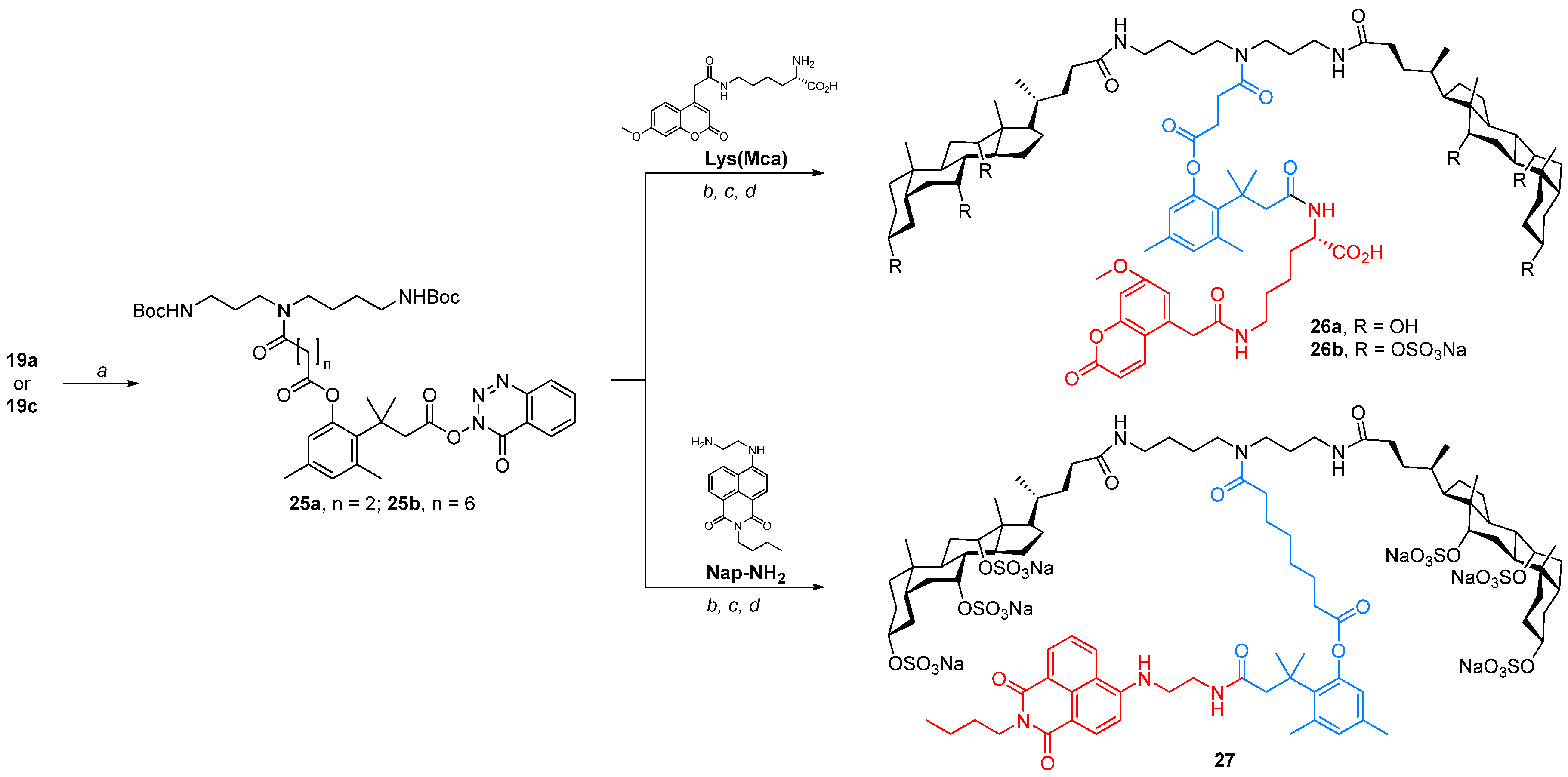 Molecules 26 05475 sch004