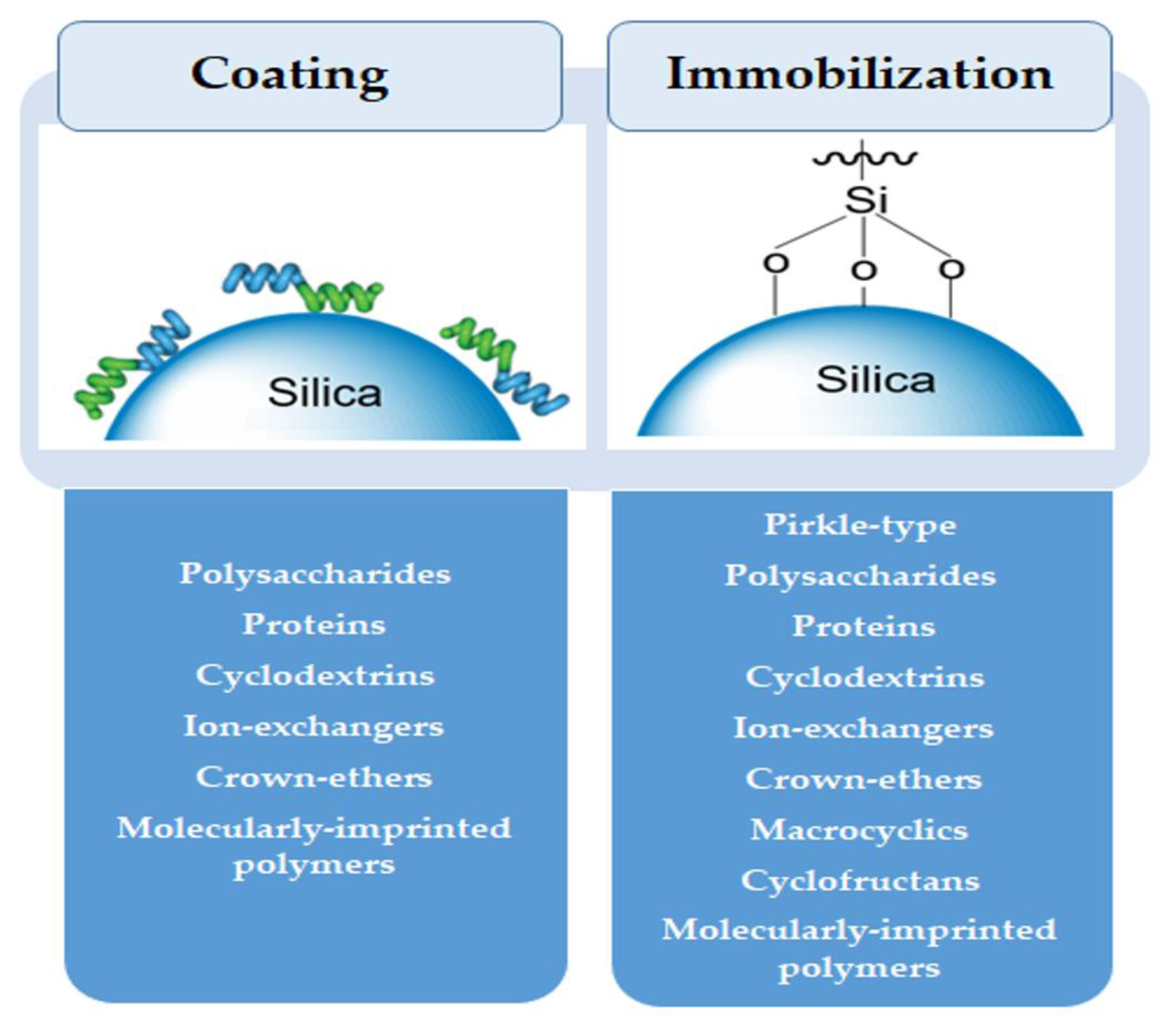 Molecules 26 05477 g001