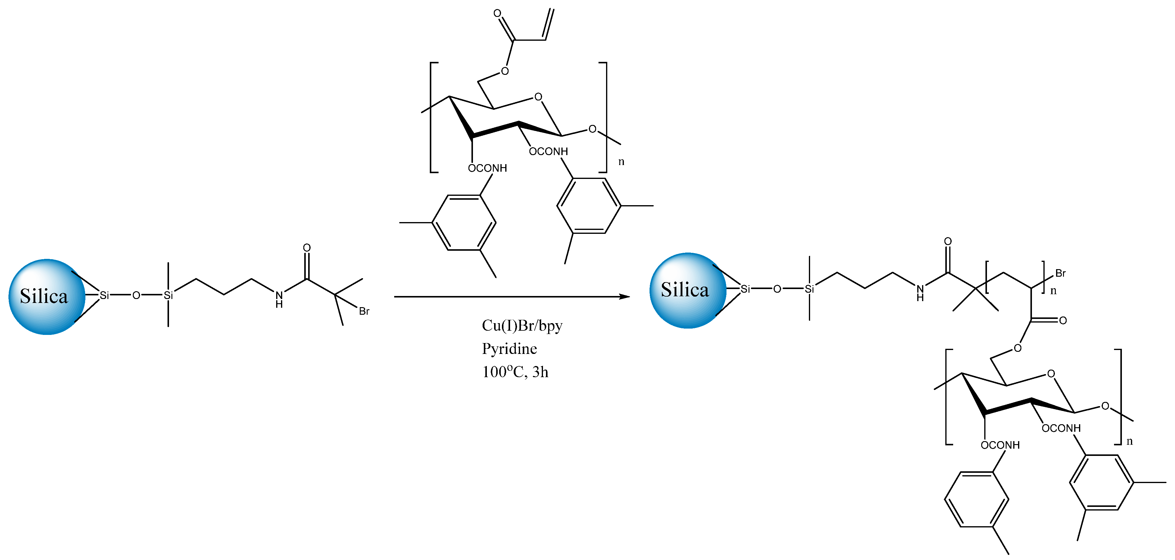 Molecules 26 05477 sch005