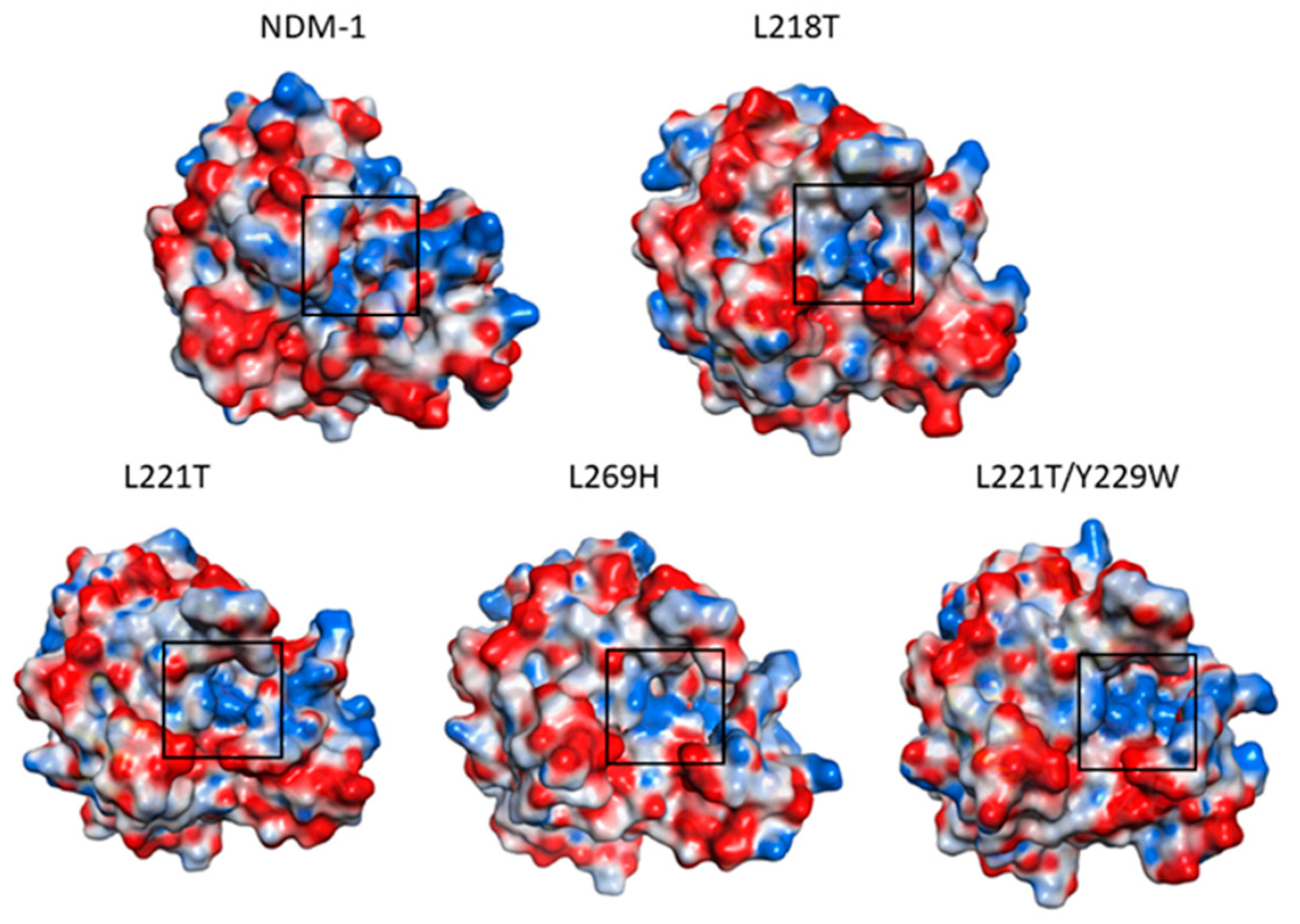 Molecules 26 05489 g004