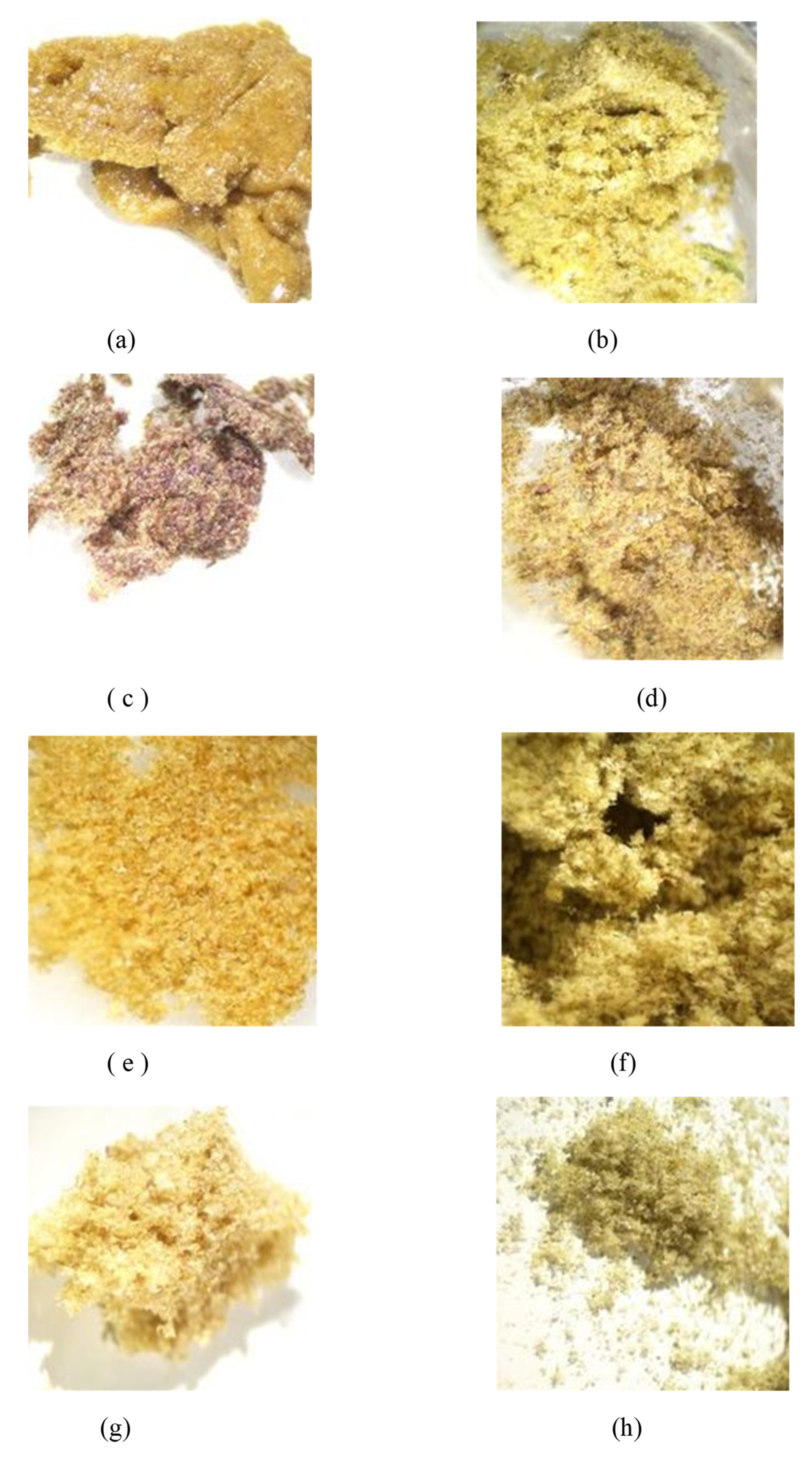 Molecules 26 05496 g003
