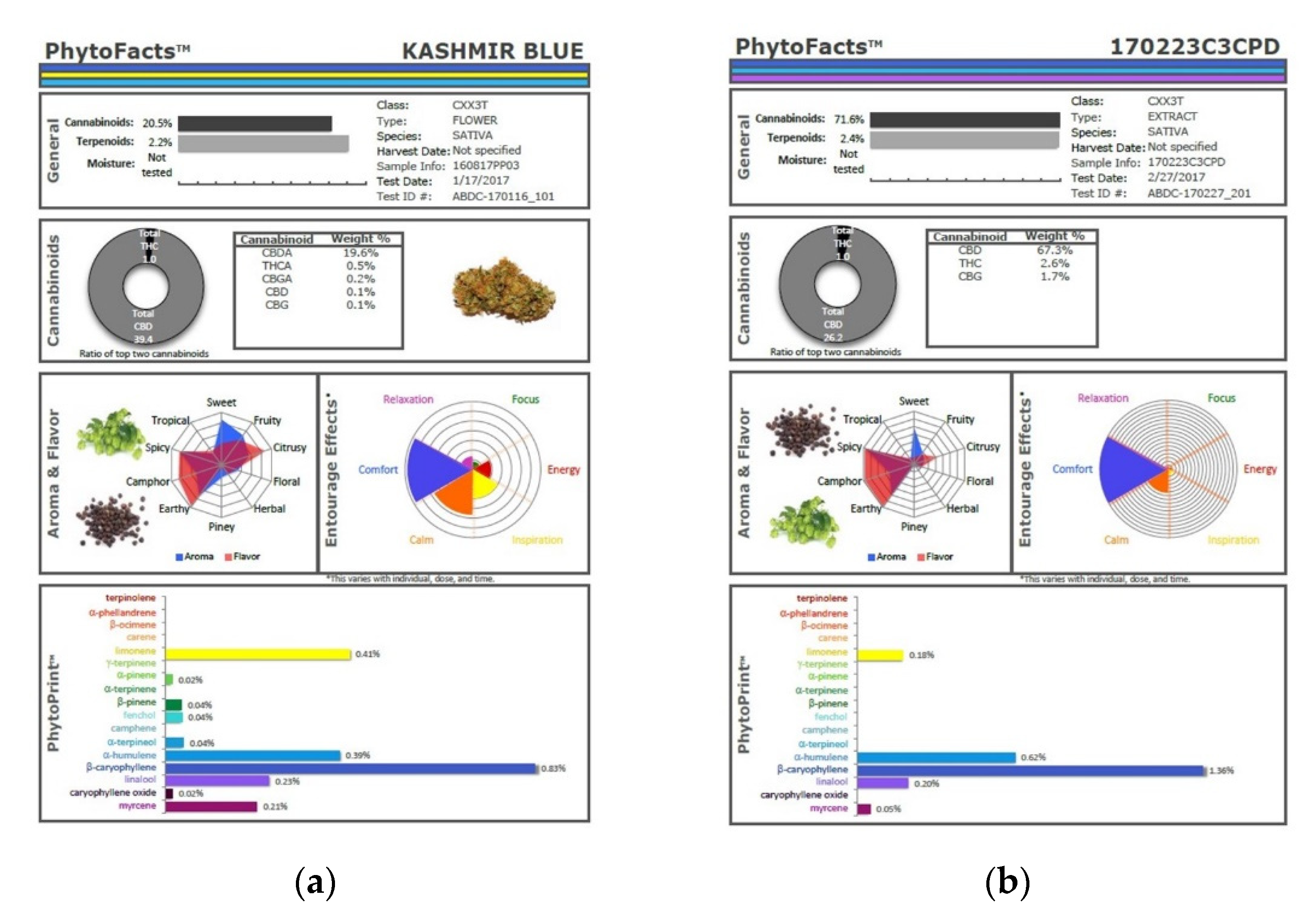 Molecules 26 05496 g010