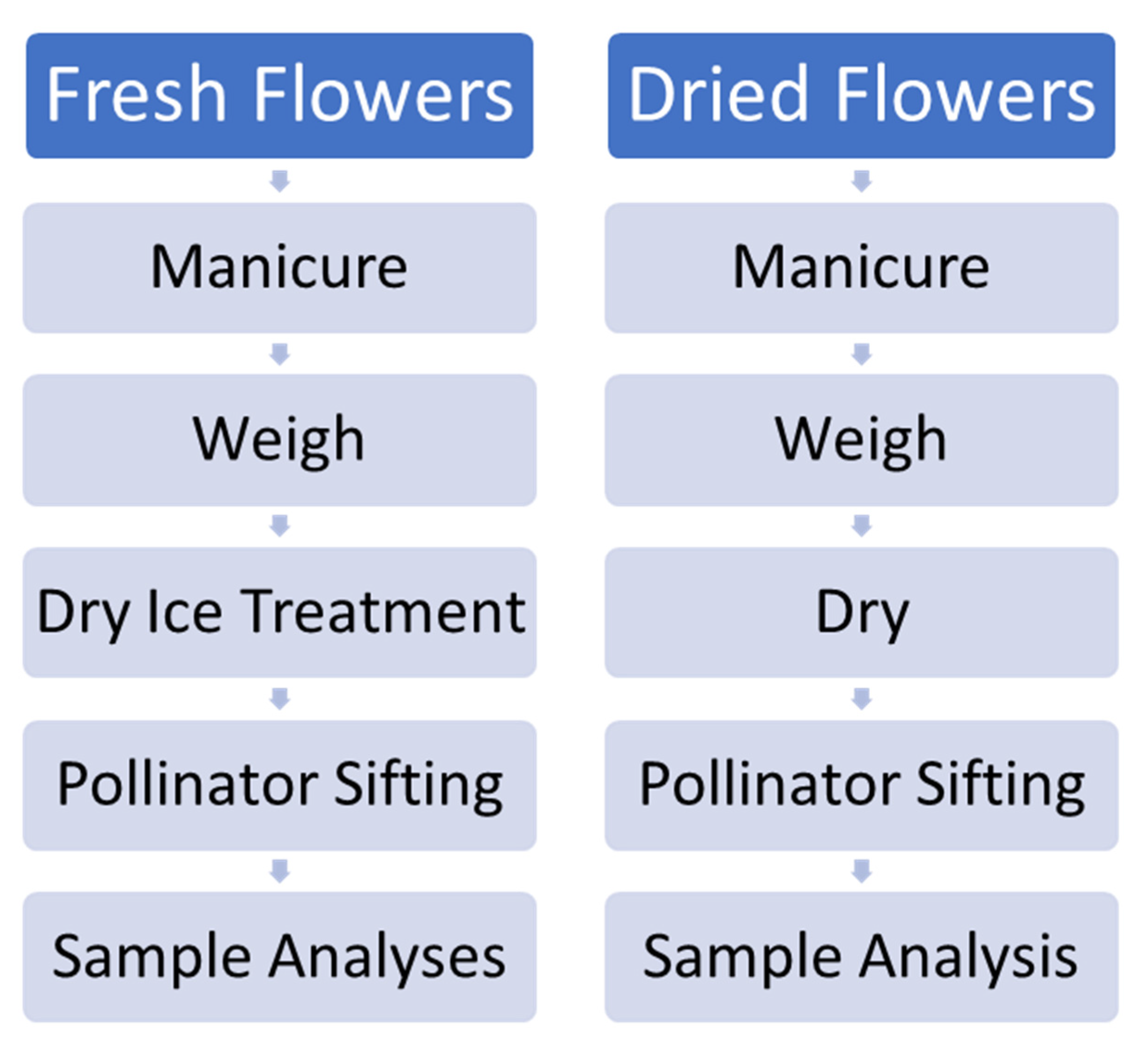 Molecules 26 05496 g012
